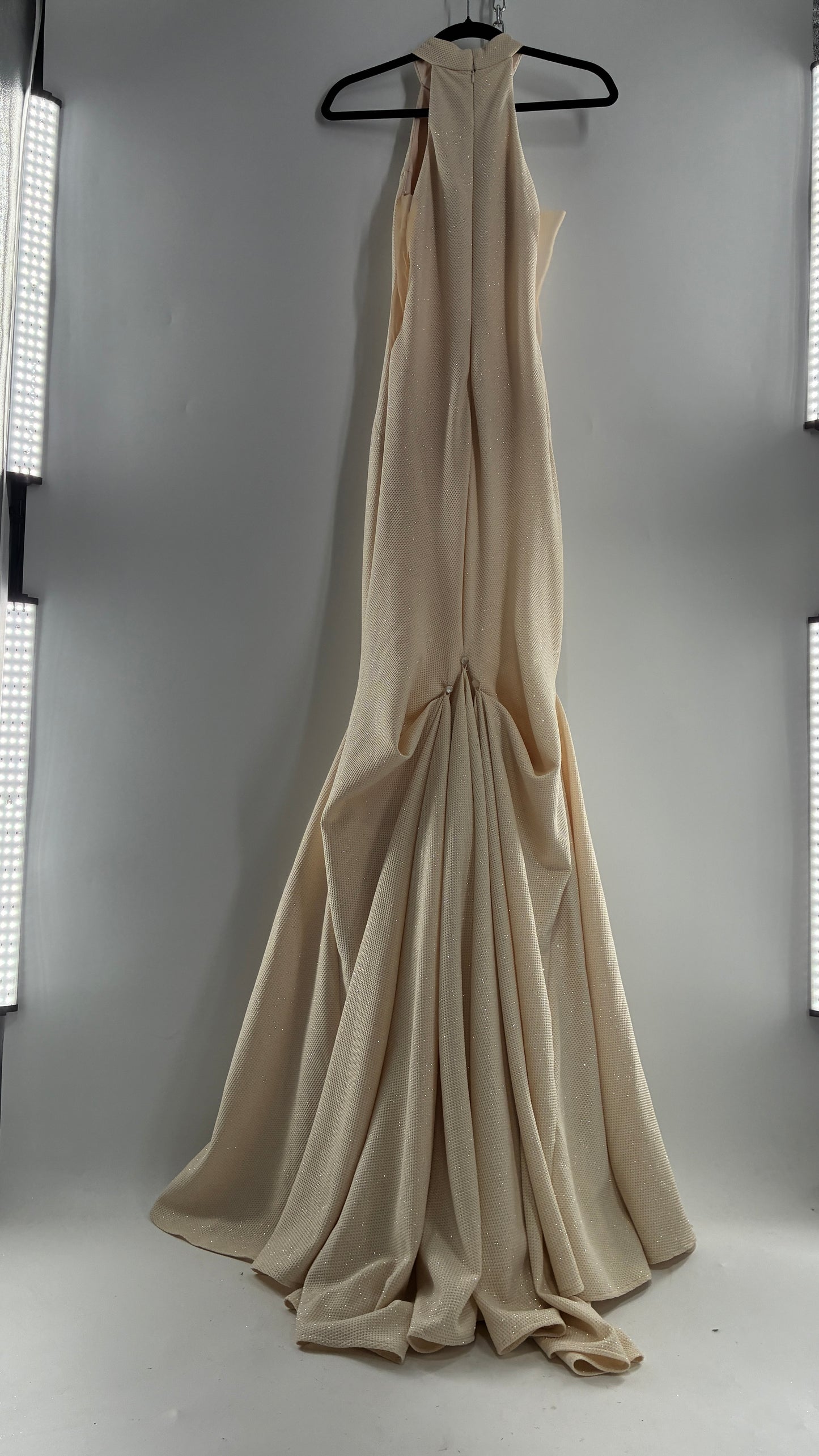 Vintage JOVANI Ivory Glittery Full Length Gown with Sheer Side Panels, Hourglass Illusion, and Pin Up Train (8)