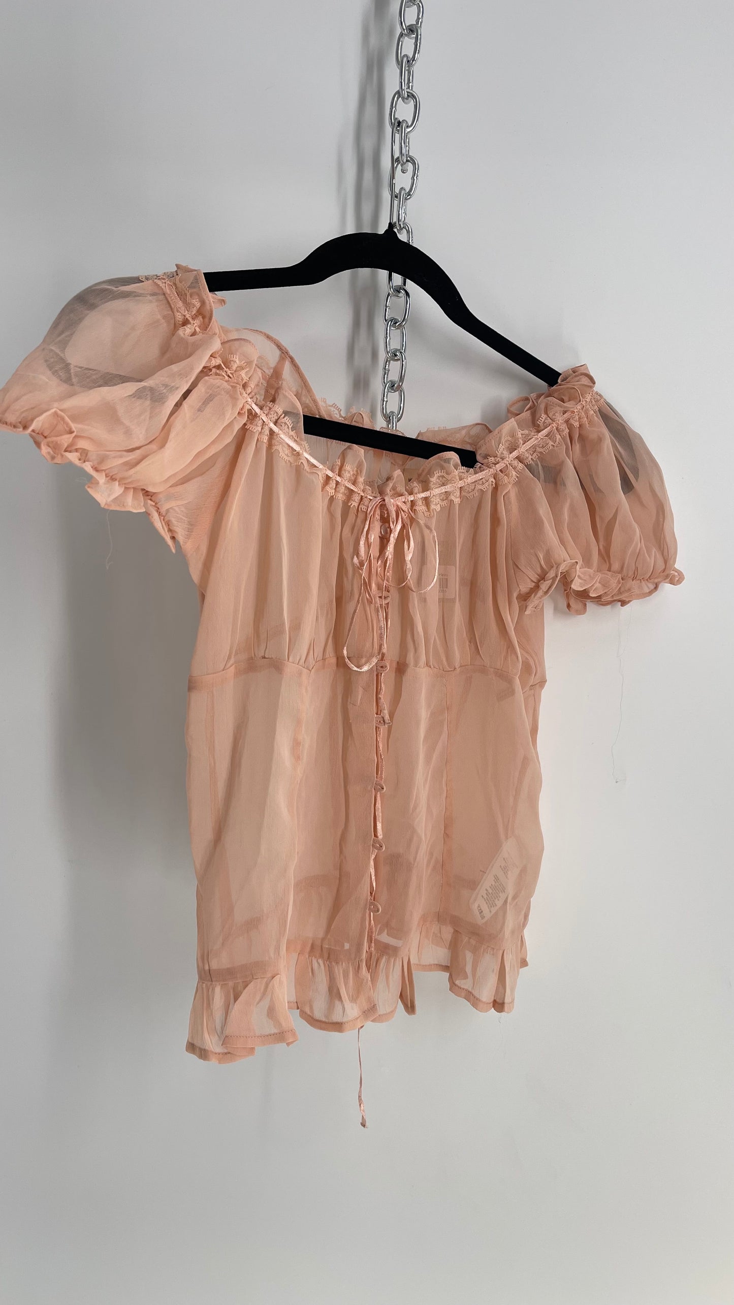 Urban Outfitters Dusty Pink Sheer Puff Sleeve Button Front Blouse (Large)