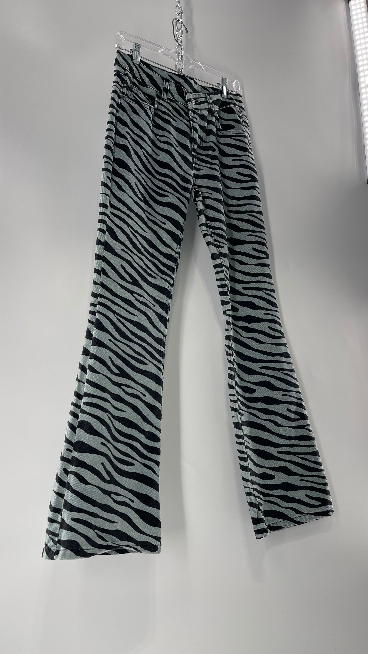 Milk It Baby Blue Kickflares in Zebra Patterning (26)