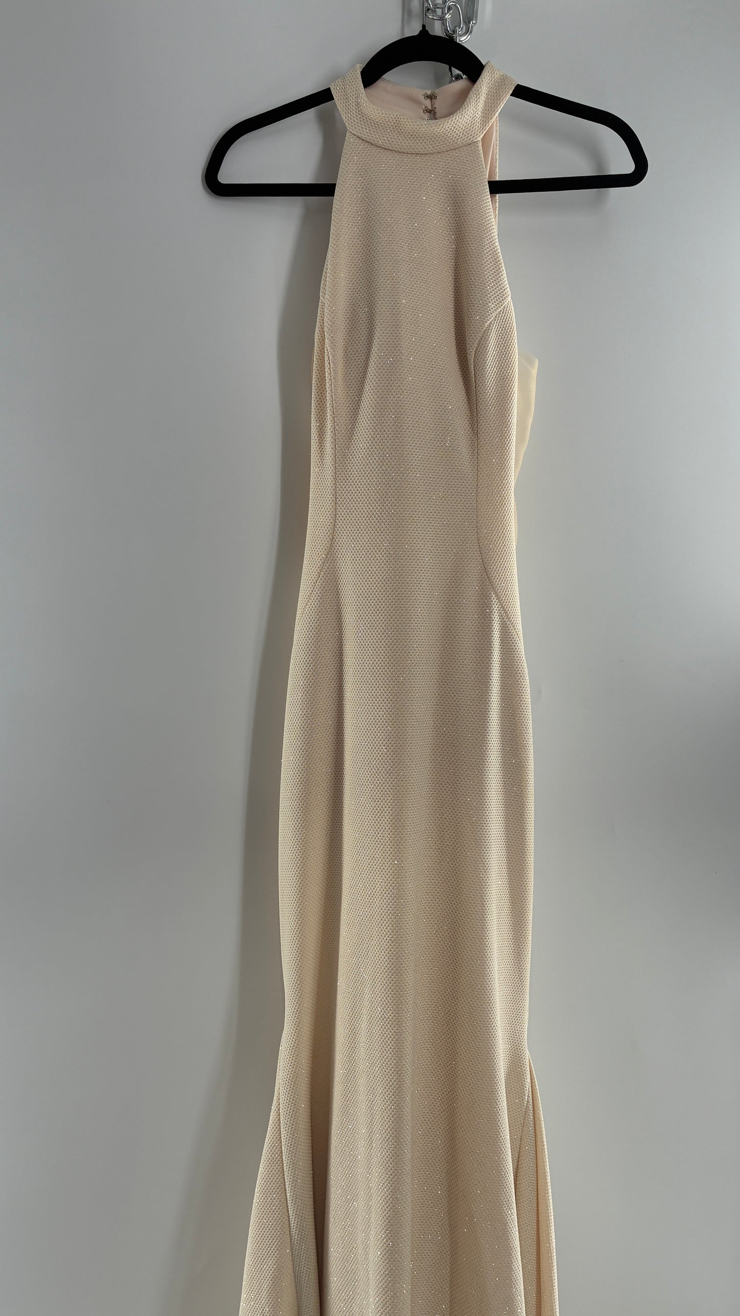 Vintage JOVANI Ivory Glittery Full Length Gown with Sheer Side Panels, Hourglass Illusion, and Pin Up Train (8)