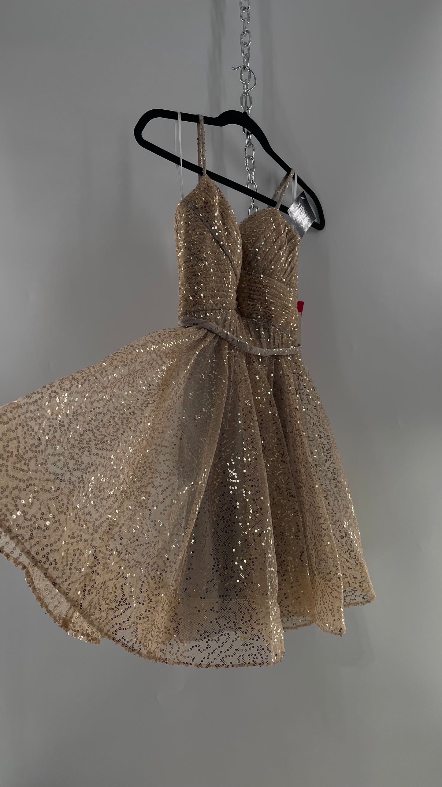 Terani Couture 1922H0420 Sleeveless Gold Sequin Tutu Dress with Ruched Corset Body (0)