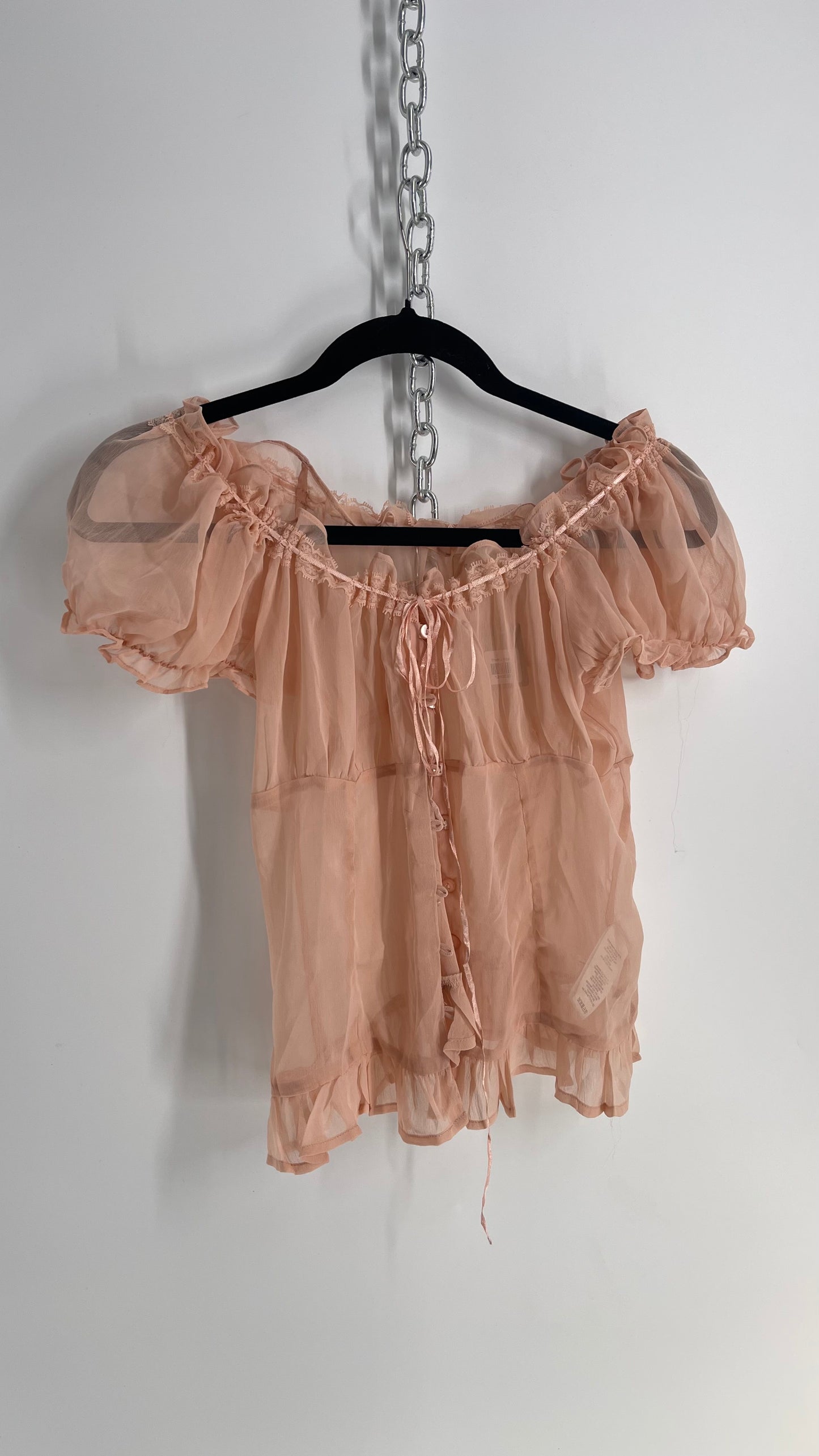 Urban Outfitters Dusty Pink Sheer Puff Sleeve Button Front Blouse (Large)