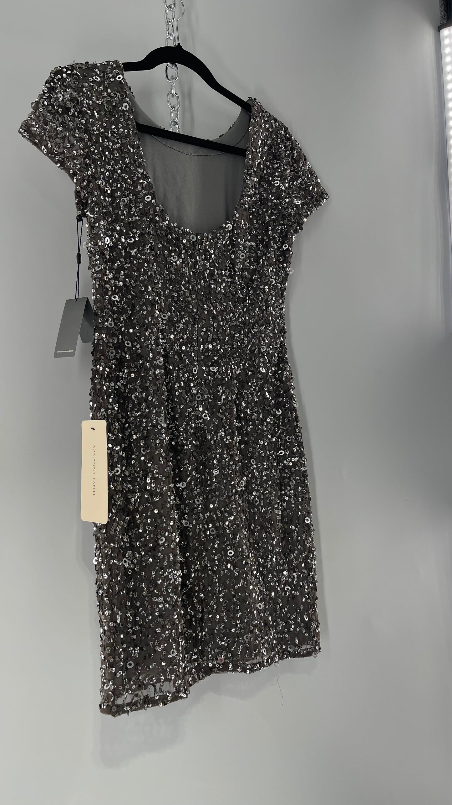 Adriana Papell Grey/Silver Short Sleeve Mini Dress Covered in Beads and Sequins (6)