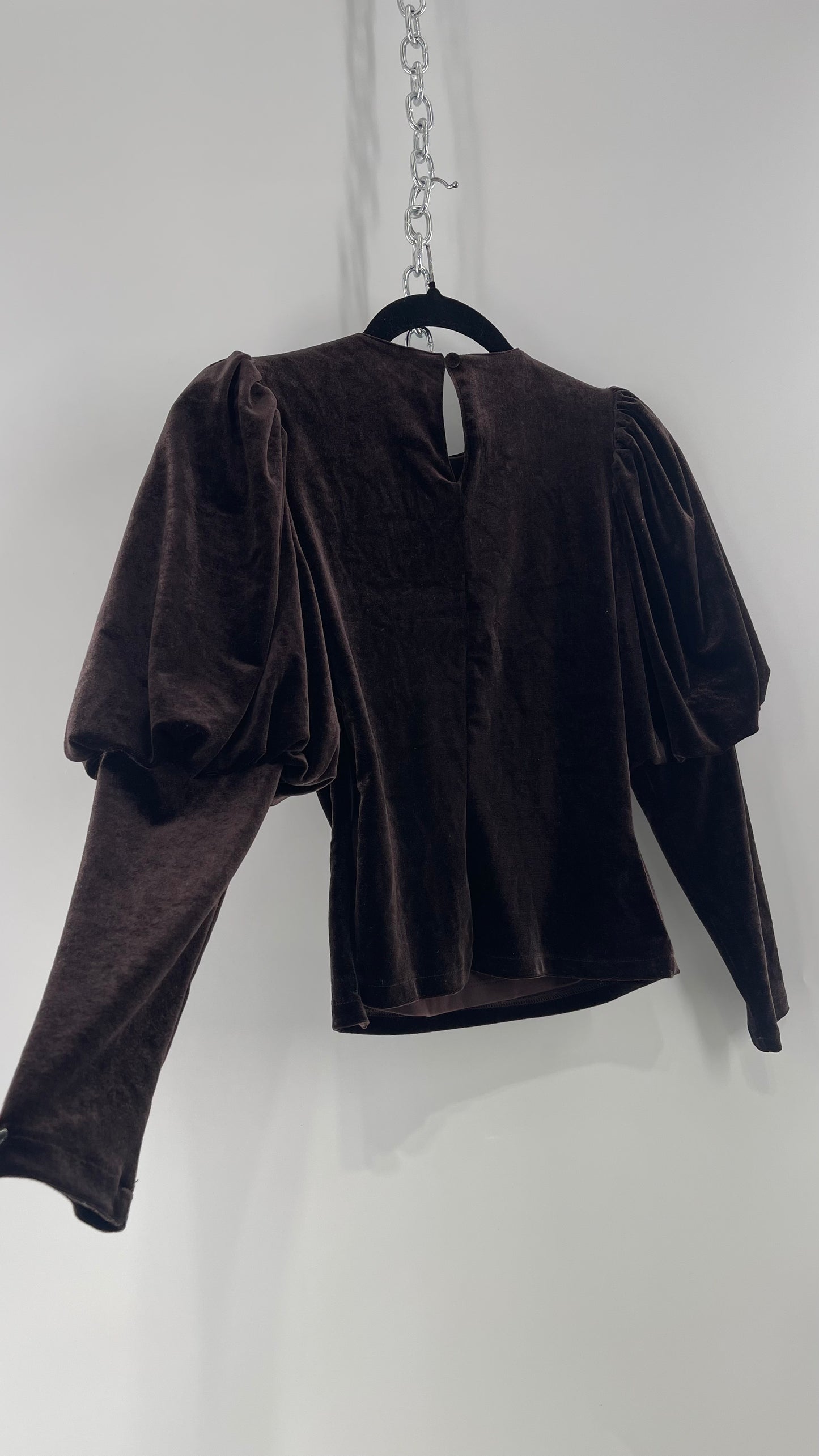 Anthropologie Sundays in Brooklyn Dark Brown Puff Shoulder, High Neck, Juliette Sleeve Blouse (XXSP)