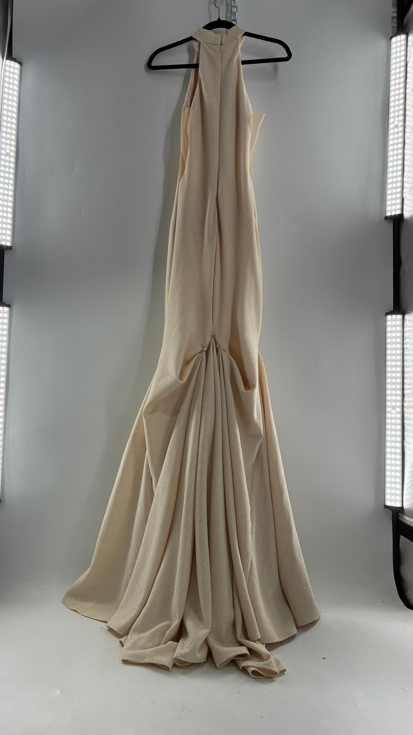 Vintage JOVANI Ivory Glittery Full Length Gown with Sheer Side Panels, Hourglass Illusion, and Pin Up Train (8)