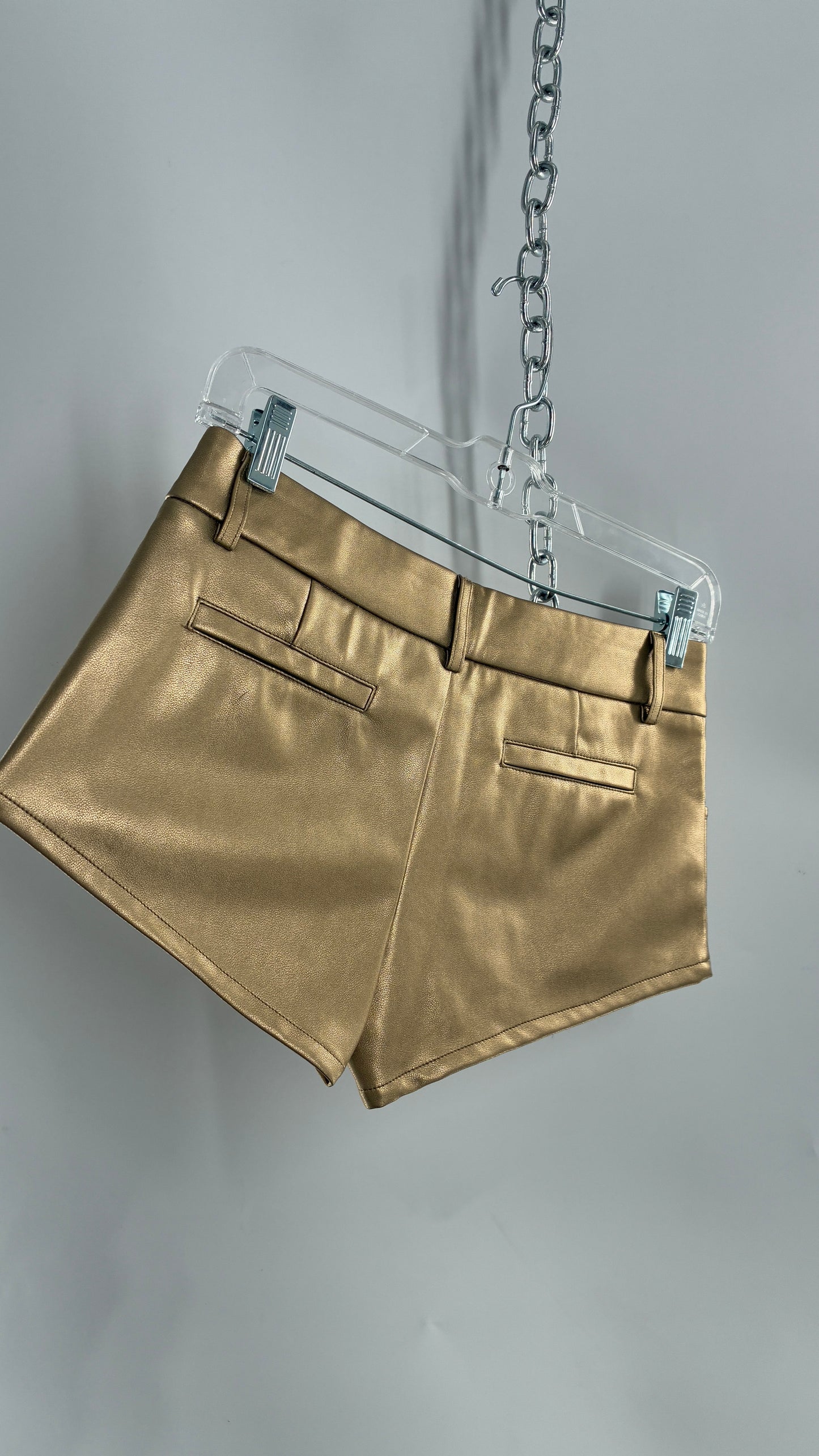 EDIKTED Gold Vegan Leather Low Waisted Hot Shorts (XS)