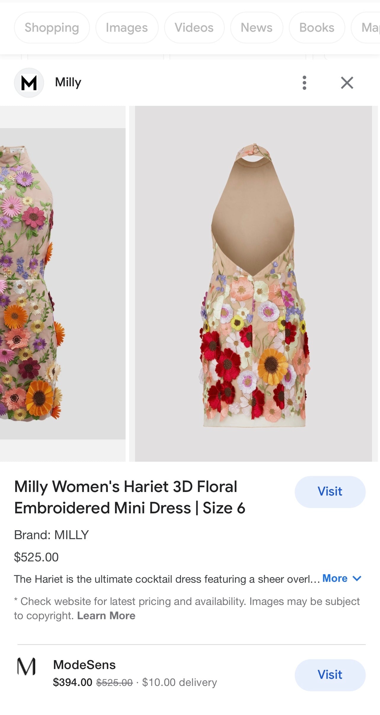 Mesh Backless Mini Dress with Halter Neckline covered in 3D Colorful Embroidered Flower Appliqués (Medium)