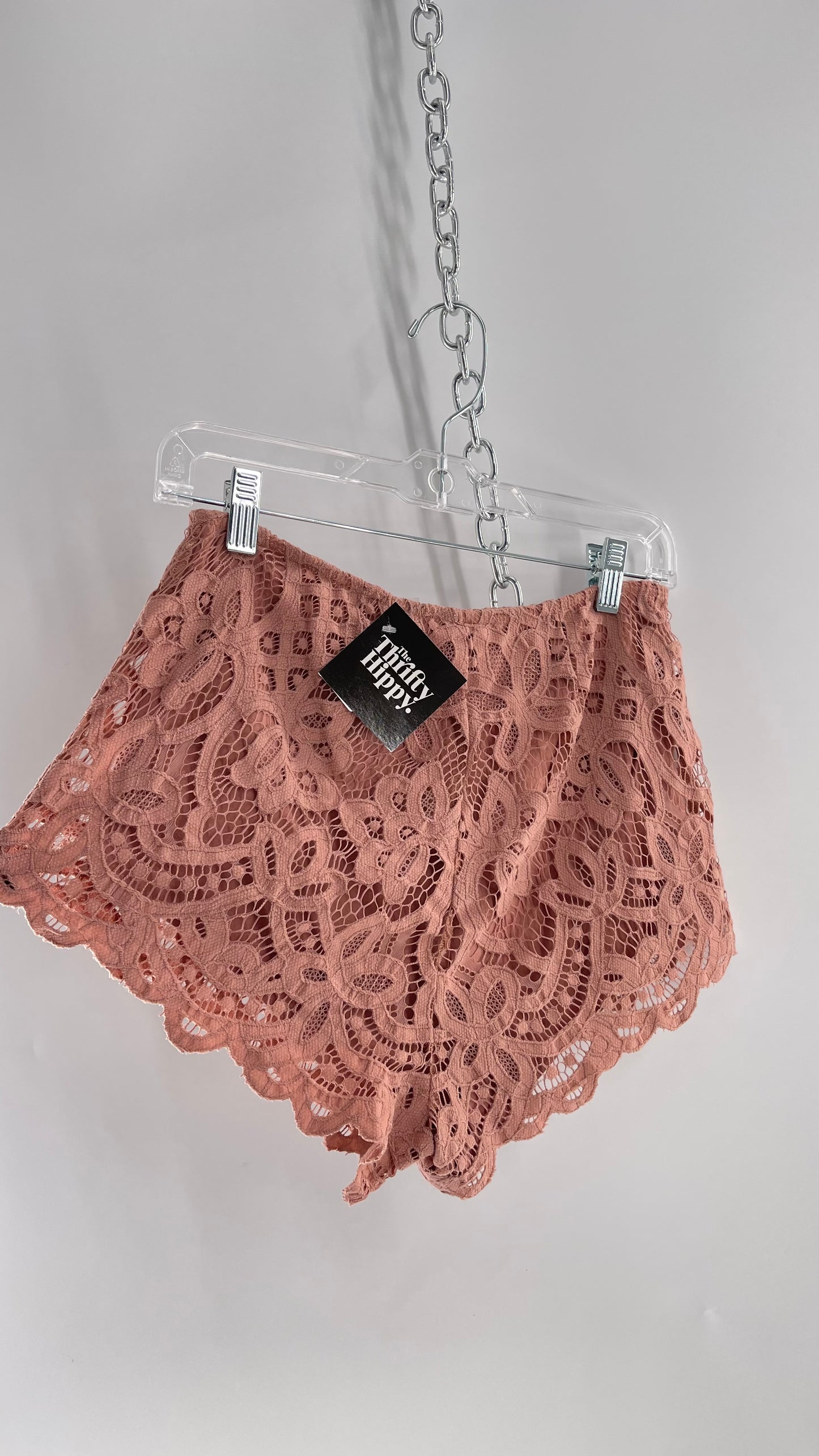 Intimately Free People Dusty Pink Lace Shorts (Small)