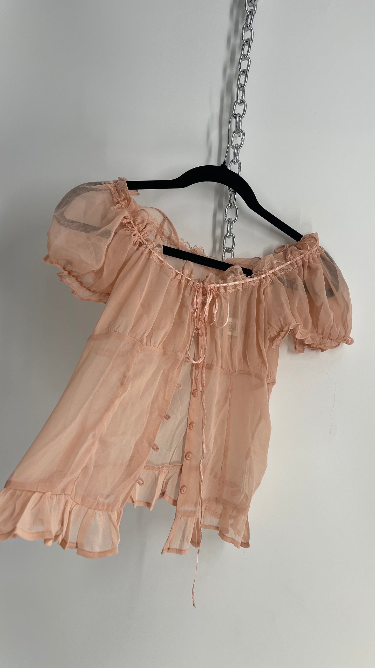 Urban Outfitters Dusty Pink Sheer Puff Sleeve Button Front Blouse (Large)