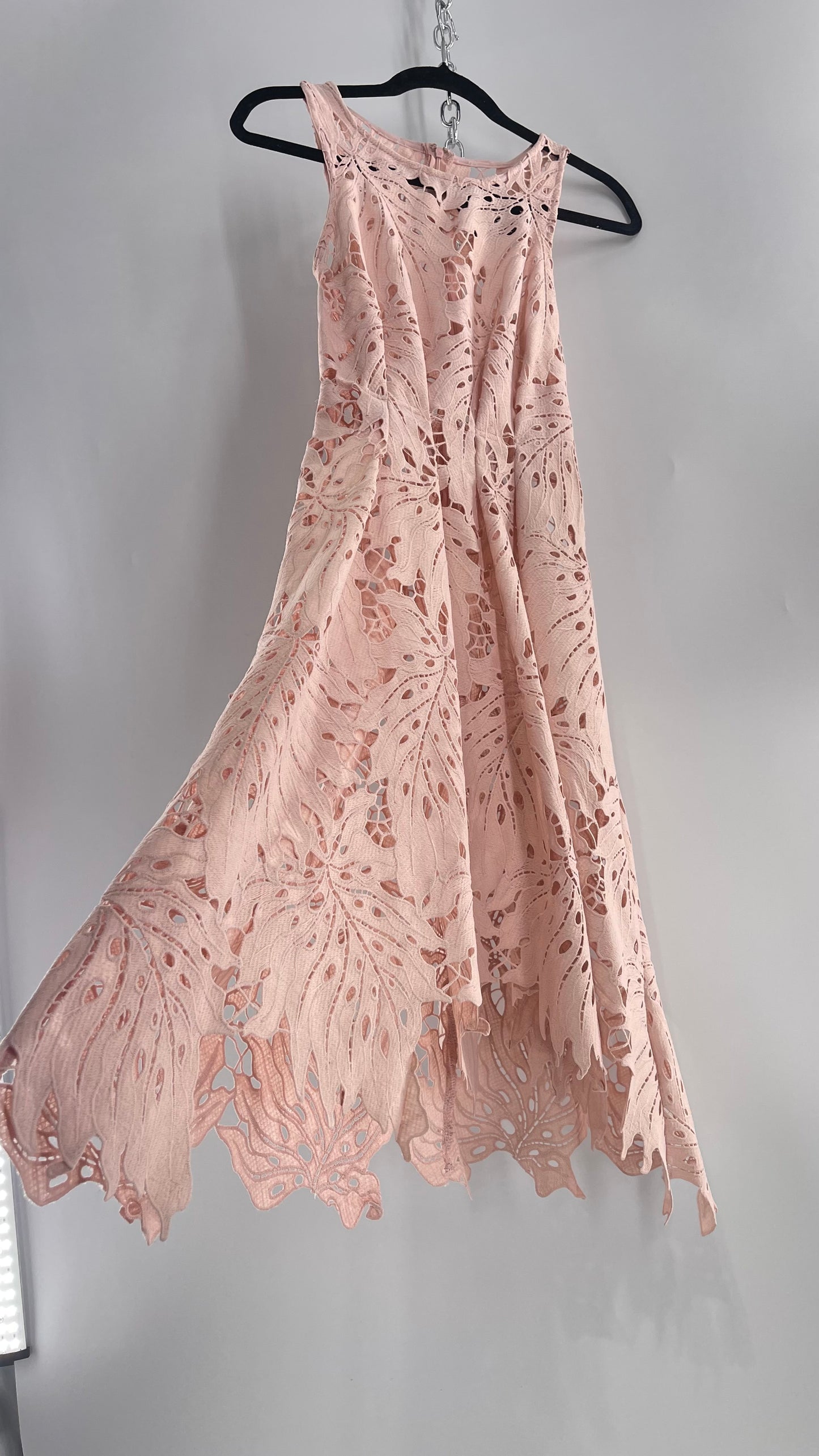 Anthropologie Eva Franco Baby Pink Completely Laser Cut Lace Palm Leaf Knee High Dress (2)