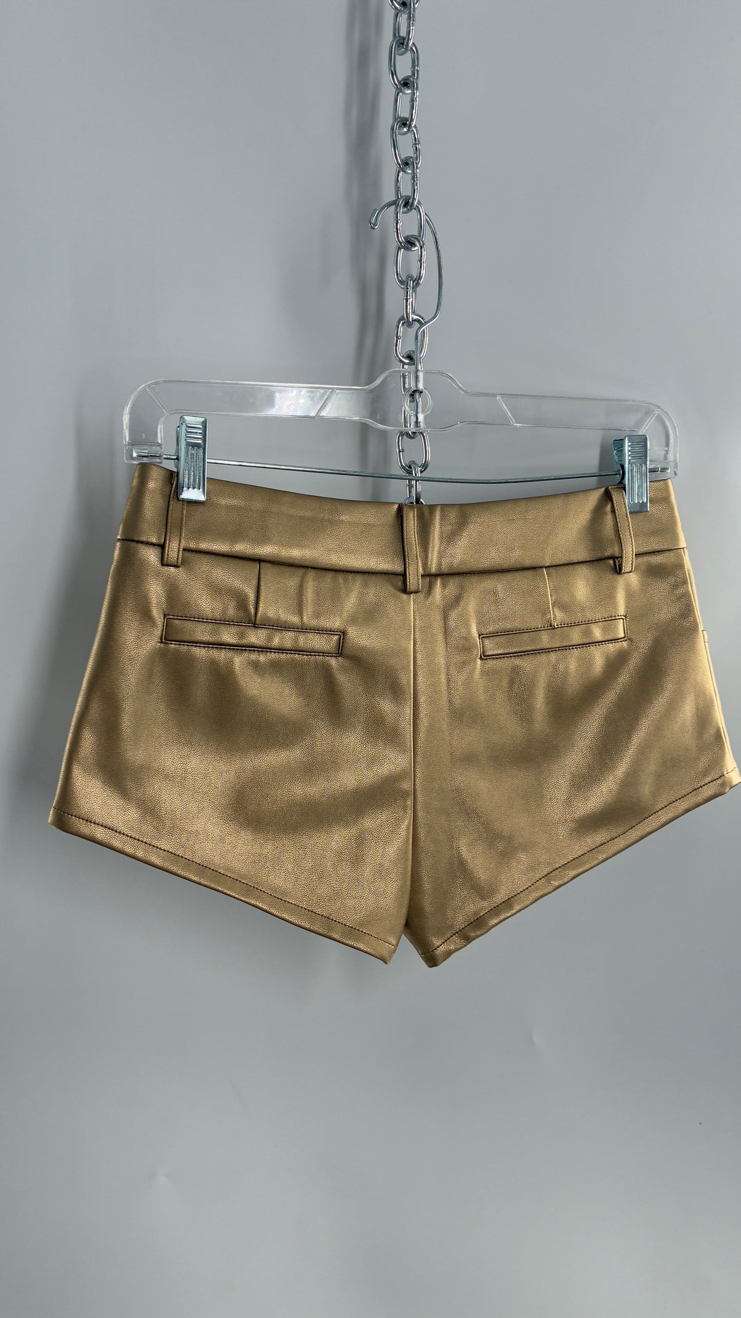 EDIKTED Gold Vegan Leather Low Waisted Hot Shorts (XS)