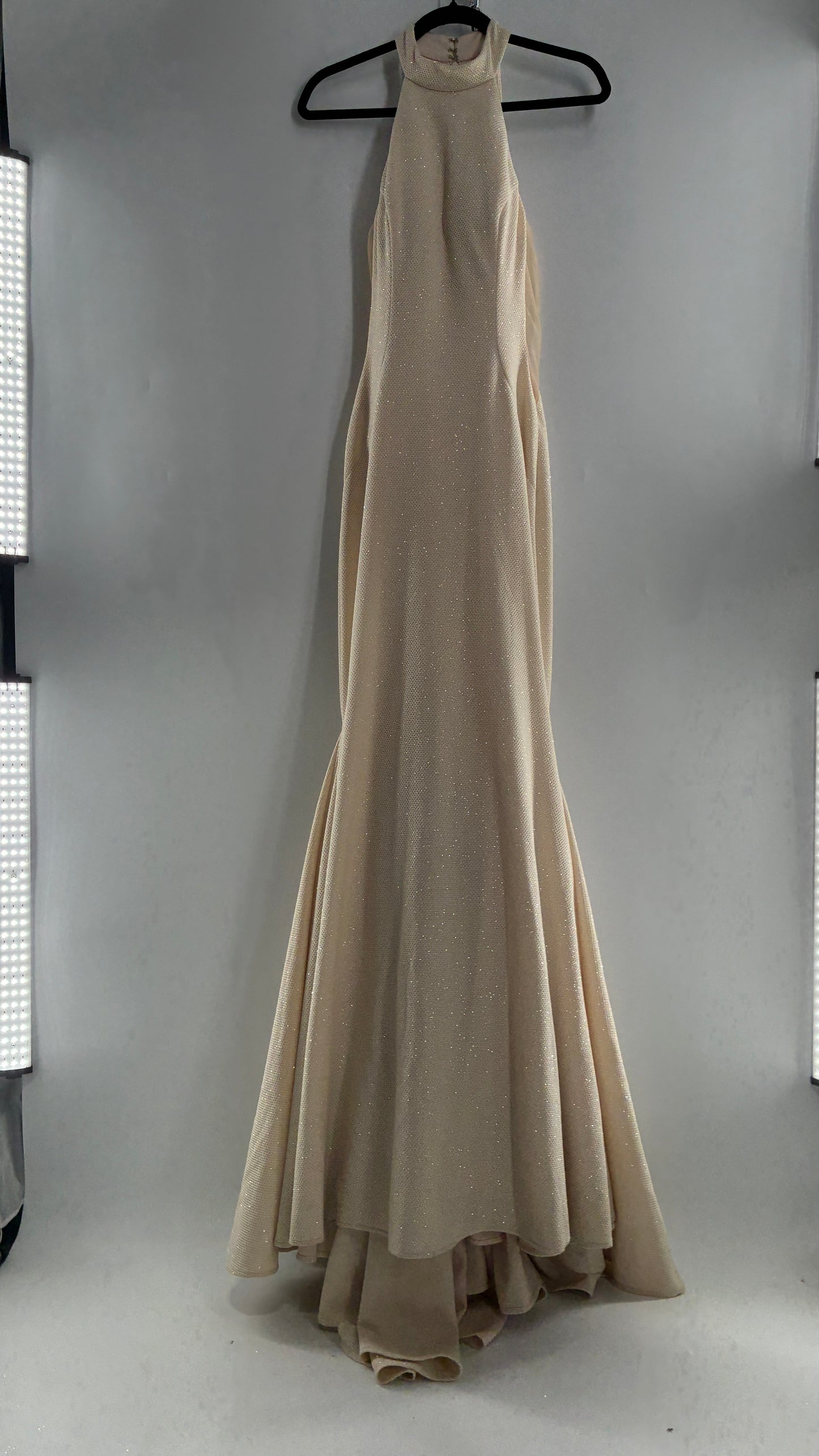 Vintage JOVANI Ivory Glittery Full Length Gown with Sheer Side Panels, Hourglass Illusion, and Pin Up Train (8)