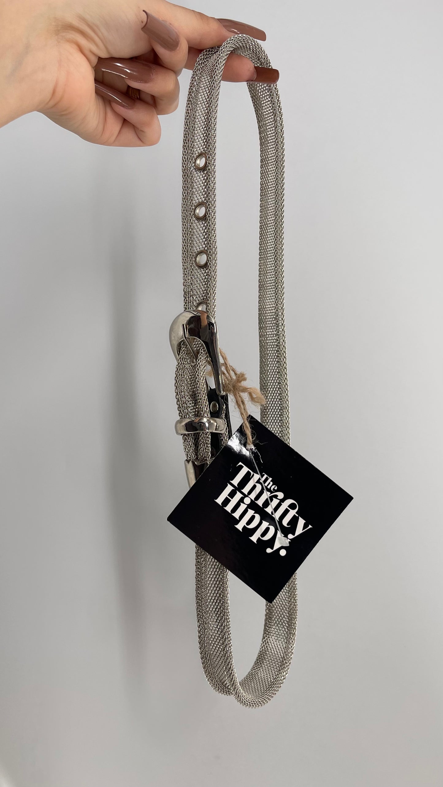 Vintage Silver Chain Link Mesh Skinny Belt (XS/S)