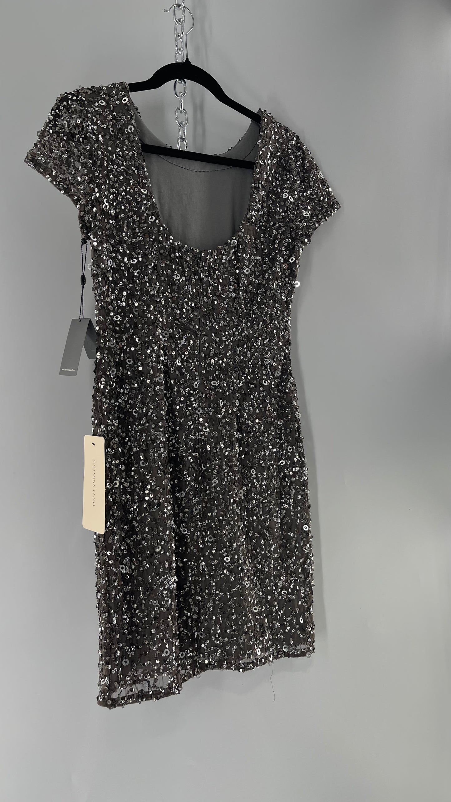 Adriana Papell Grey/Silver Short Sleeve Mini Dress Covered in Beads and Sequins (6)