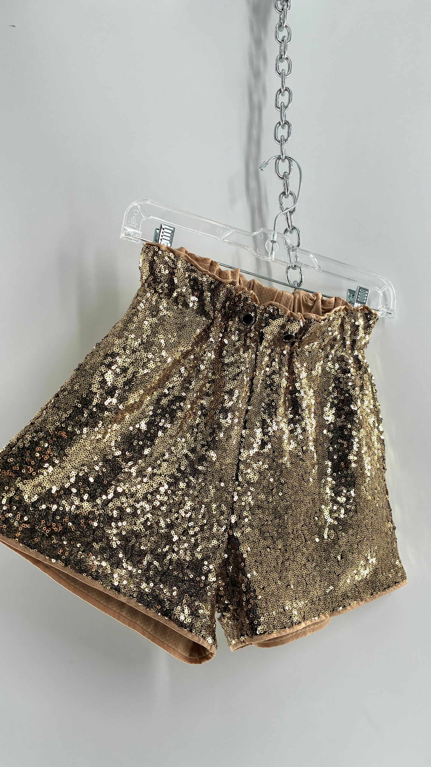 Gold Sequin Shorts with Tan Mesh Lining (Small)