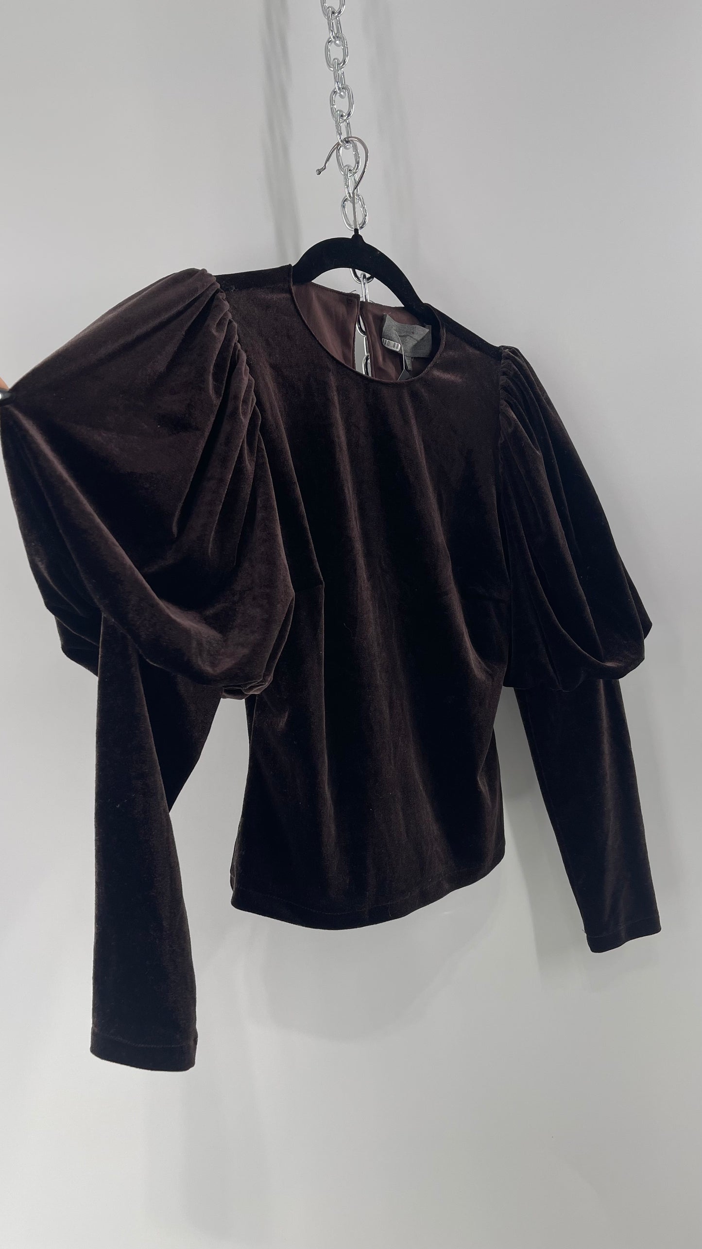 Anthropologie Sundays in Brooklyn Dark Brown Puff Shoulder, High Neck, Juliette Sleeve Blouse (XXSP)