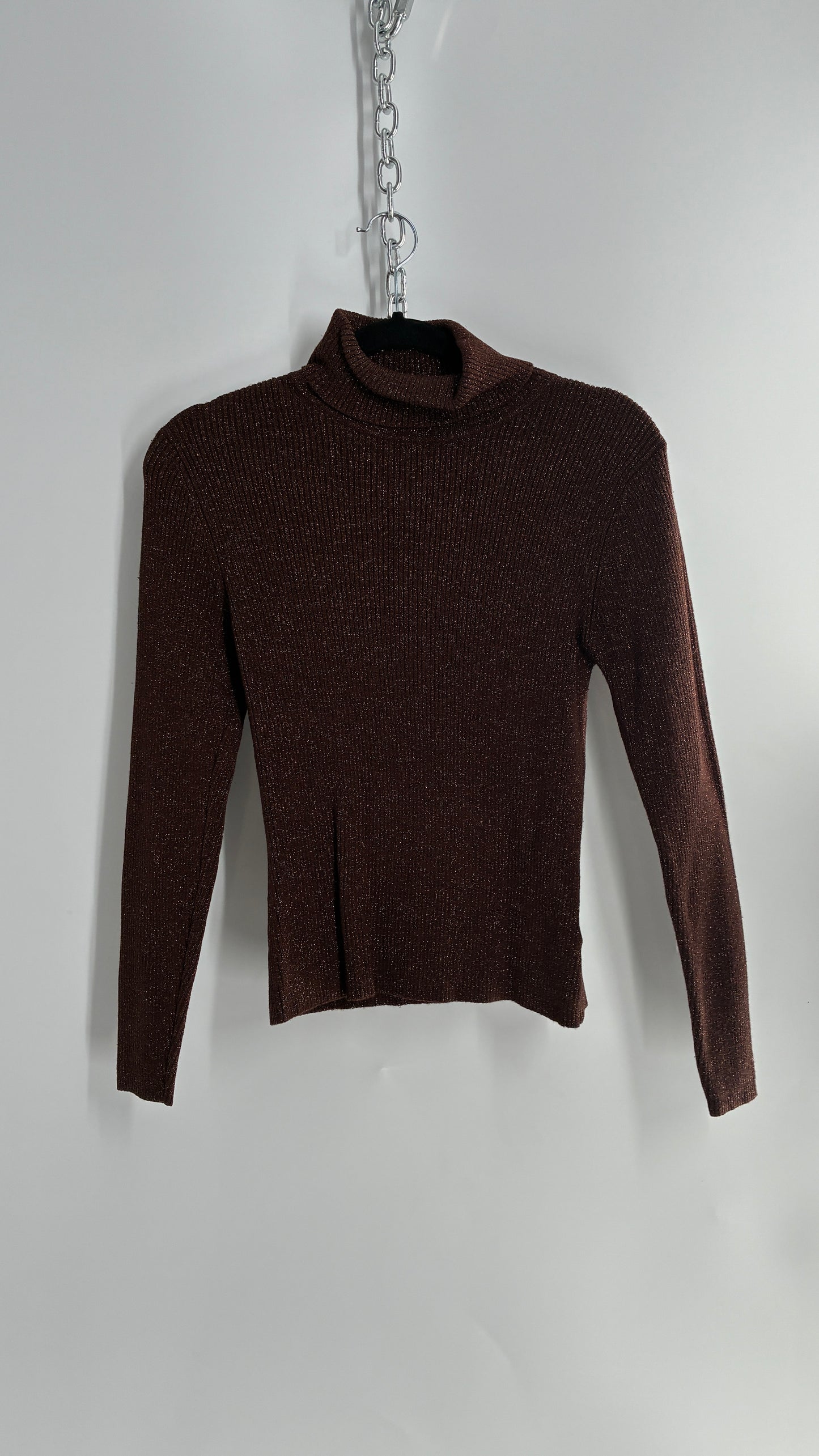 WORTHINGTON Brown Sparkle Tinsel Ribbed Knit Turtle Neck (Small)