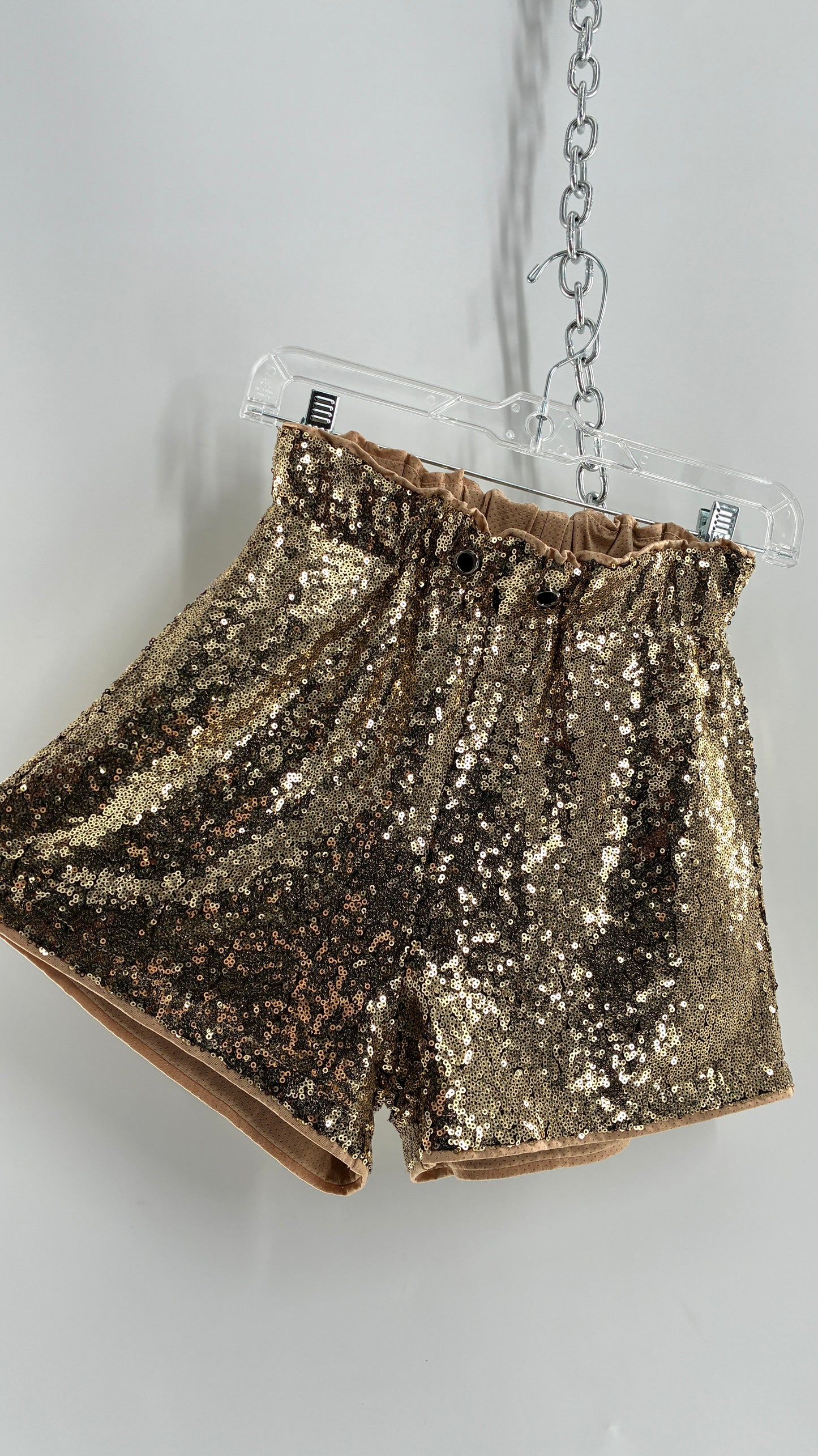 Gold Sequin Shorts with Tan Mesh Lining (Small)