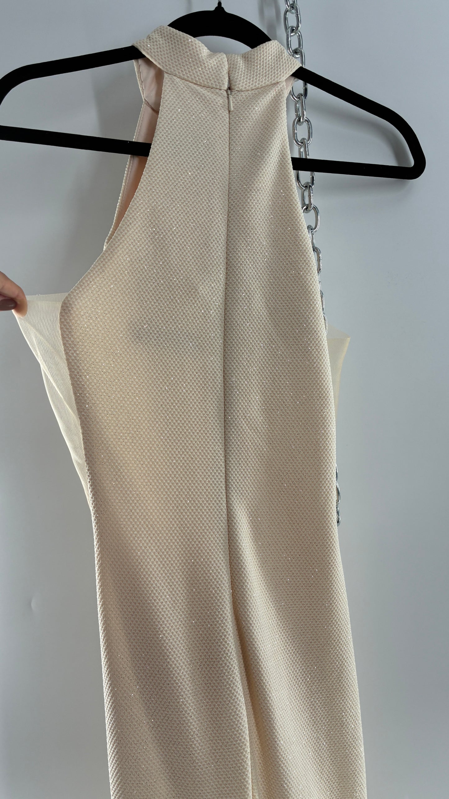 Vintage JOVANI Ivory Glittery Full Length Gown with Sheer Side Panels, Hourglass Illusion, and Pin Up Train (8)