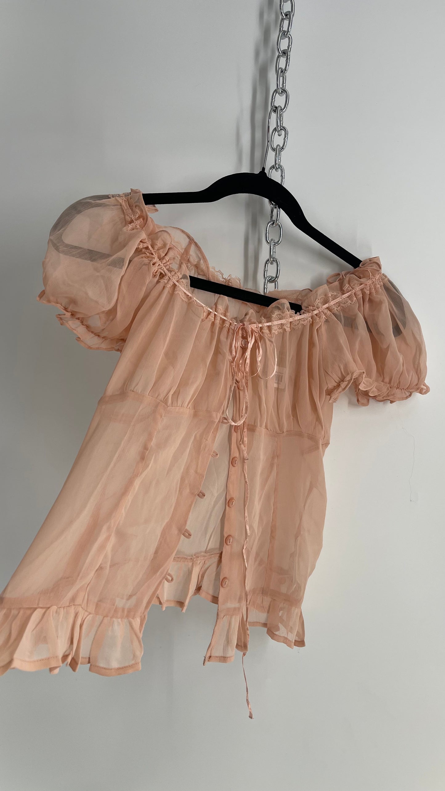 Urban Outfitters Dusty Pink Sheer Puff Sleeve Button Front Blouse (Large)