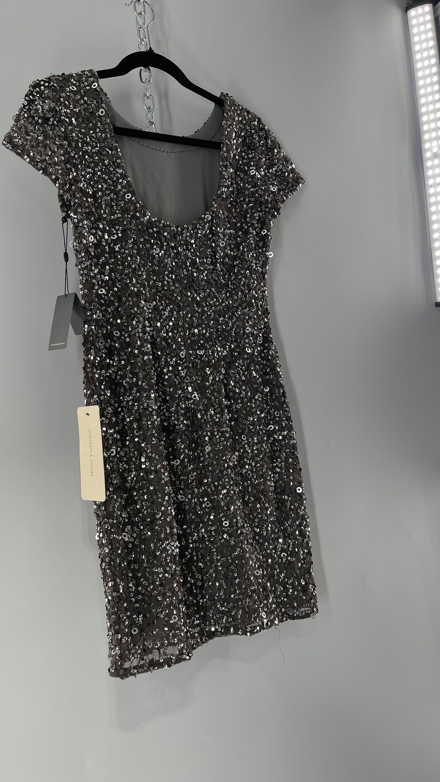Adriana Papell Grey/Silver Short Sleeve Mini Dress Covered in Beads and Sequins (6)