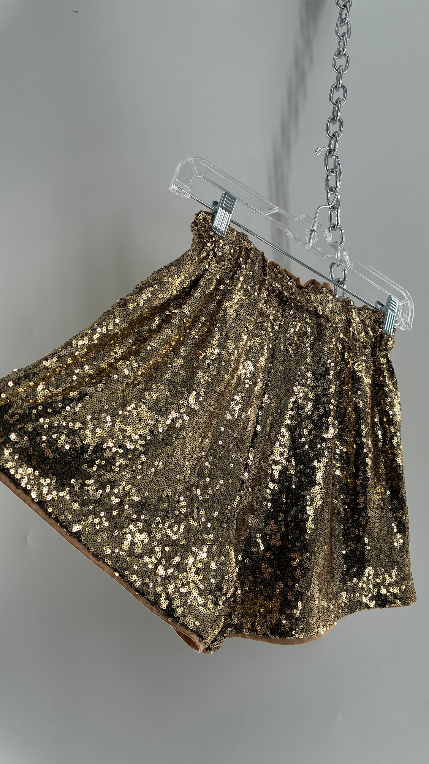 Gold Sequin Shorts with Tan Mesh Lining (Small)