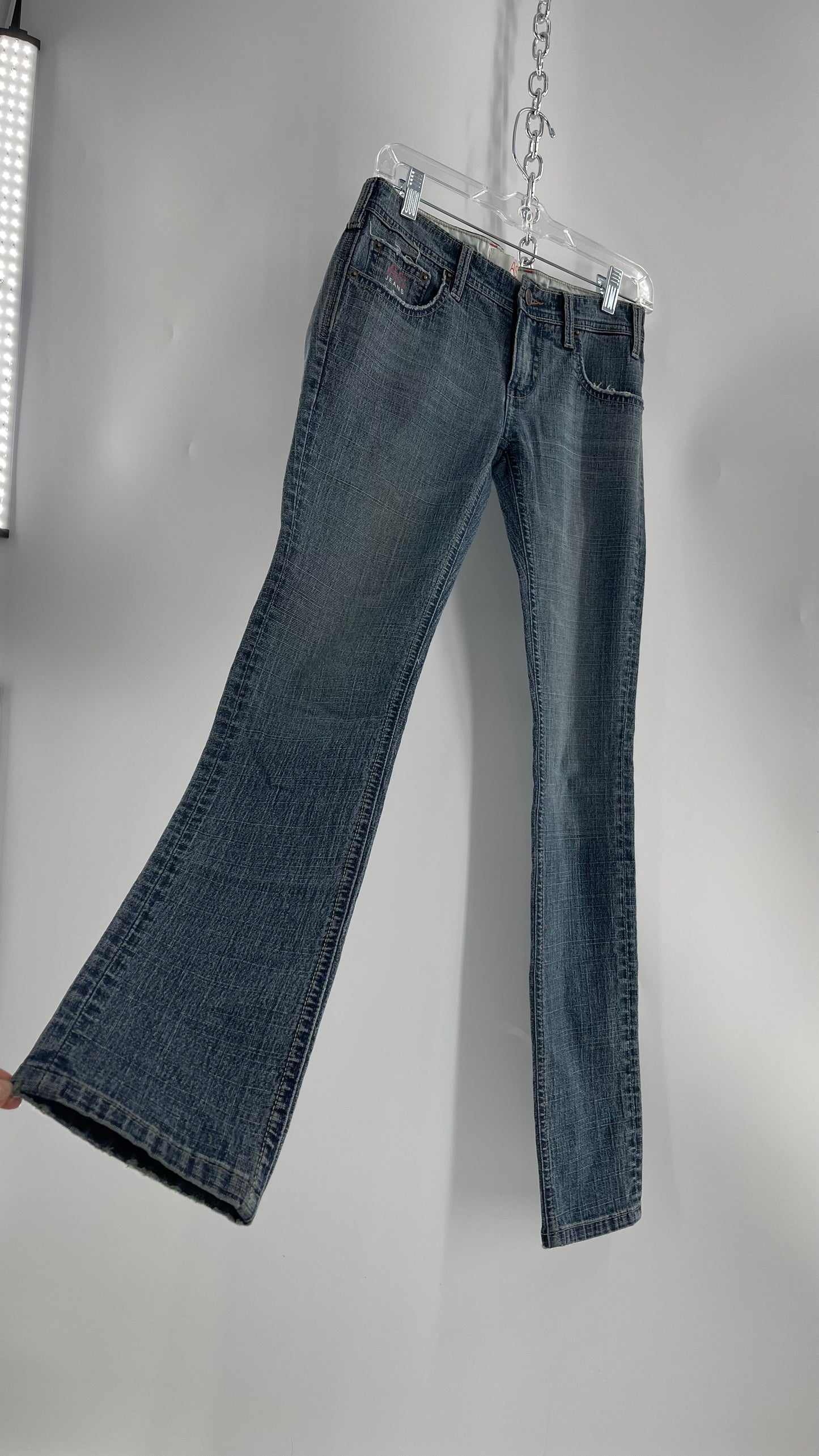 Vintage Smart AS JEANS Light Wash with Silver Metallic Female Posing Silhouette and Paulina Field Embroidery (28)