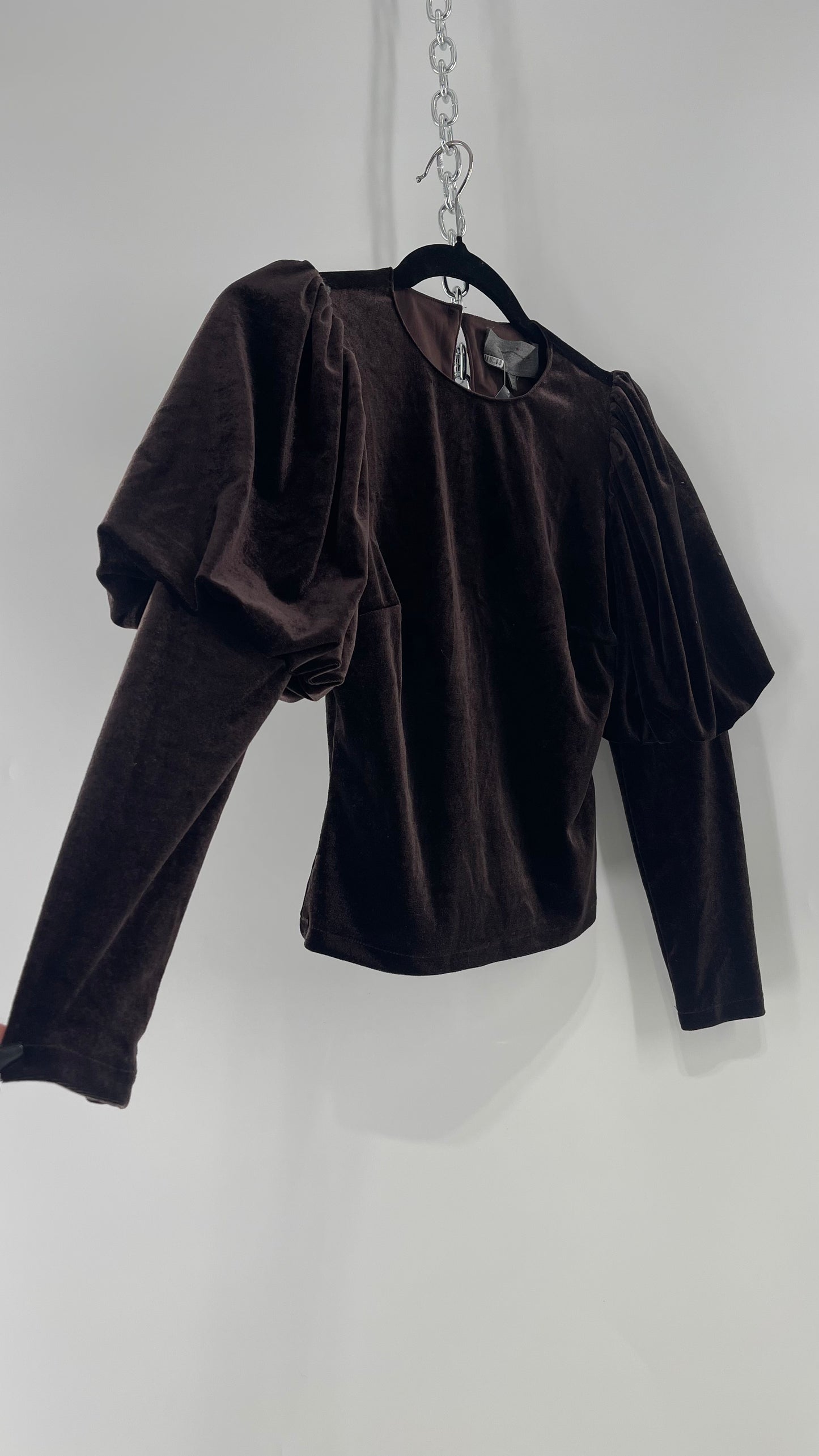 Anthropologie Sundays in Brooklyn Dark Brown Puff Shoulder, High Neck, Juliette Sleeve Blouse (XXSP)