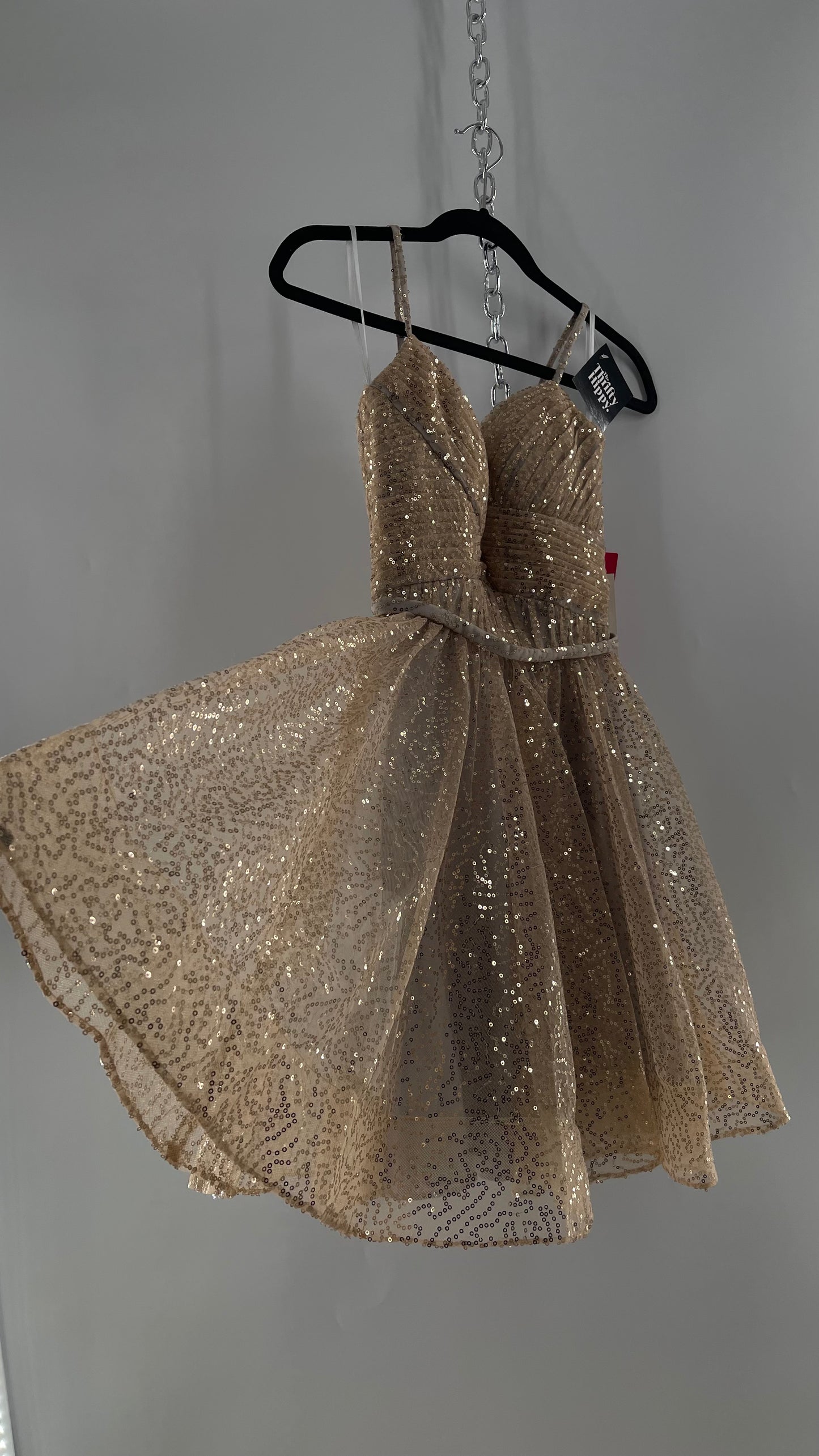 Terani Couture 1922H0420 Sleeveless Gold Sequin Tutu Dress with Ruched Corset Body (0)