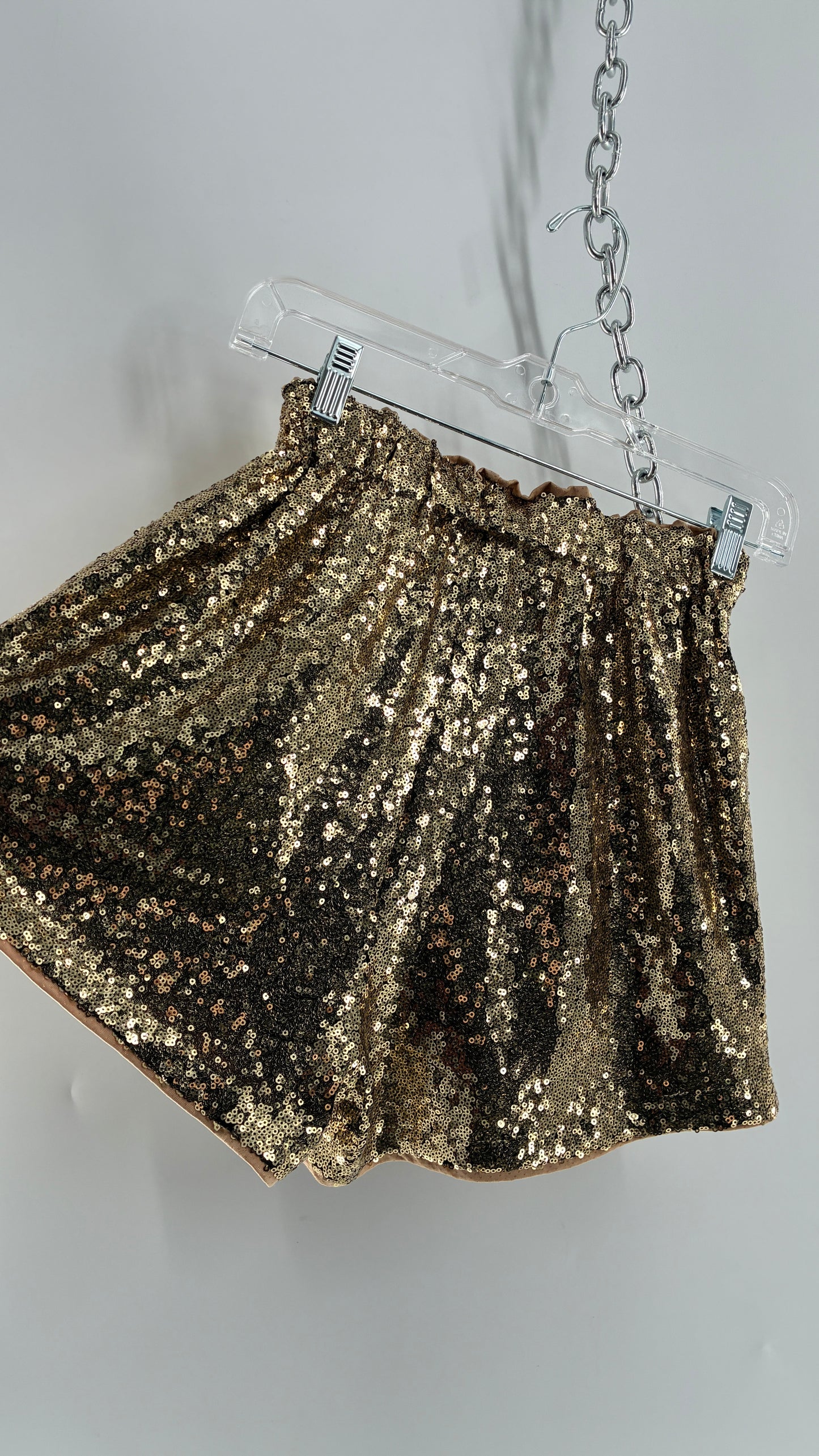 Gold Sequin Shorts with Tan Mesh Lining (Small)