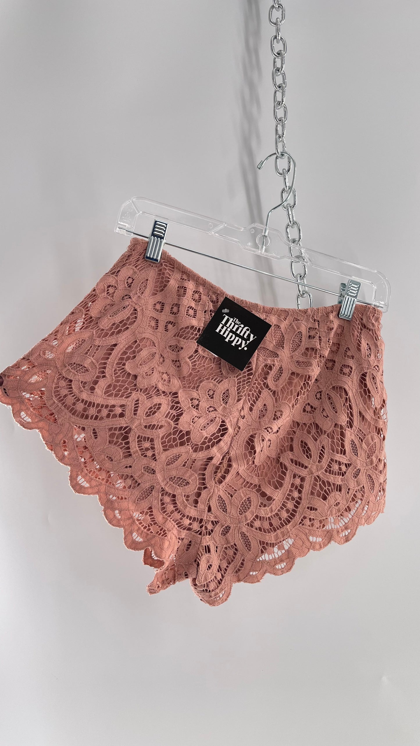 Intimately Free People Dusty Pink Lace Shorts (Small)