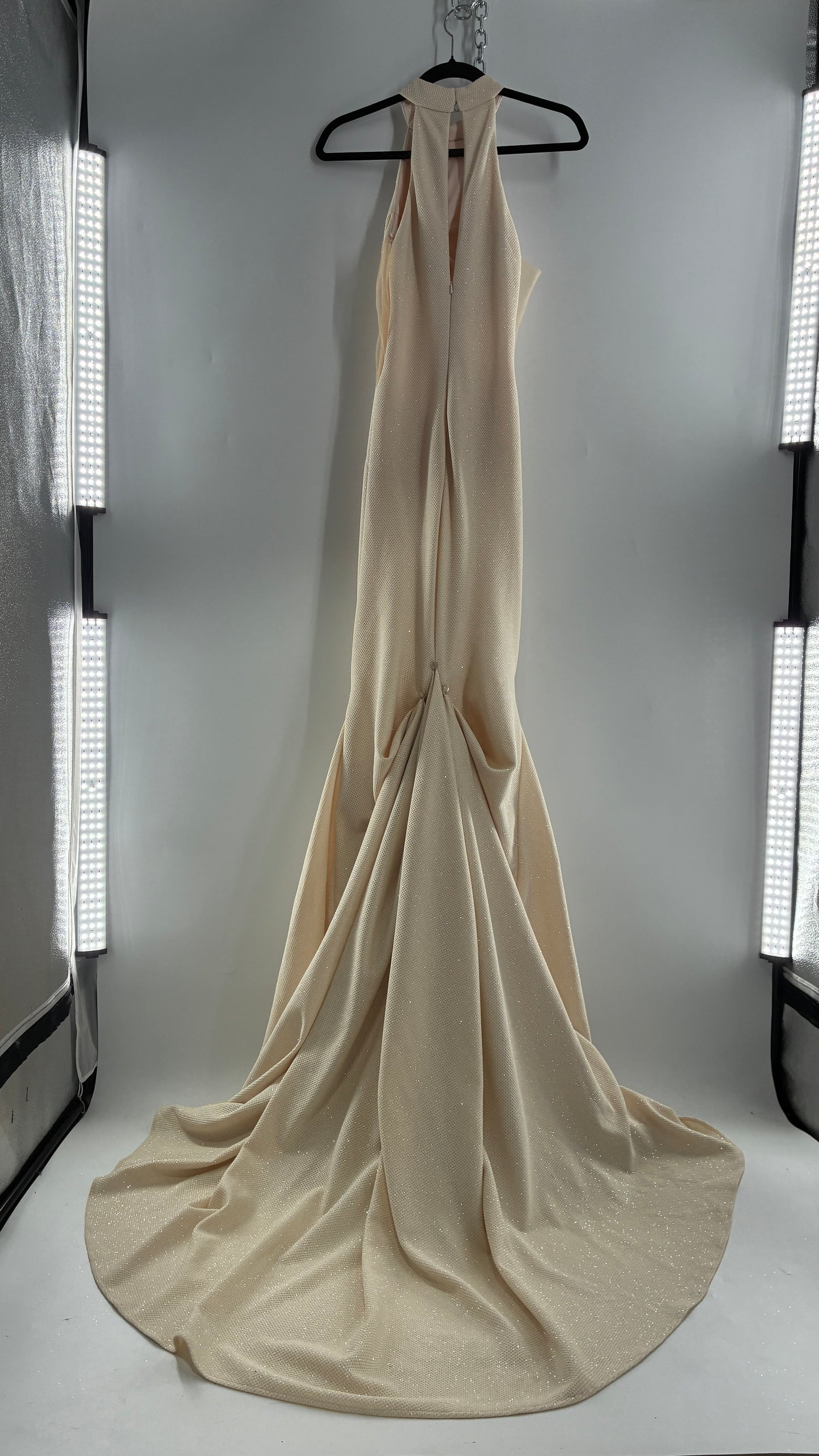 Vintage JOVANI Ivory Glittery Full Length Gown with Sheer Side Panels, Hourglass Illusion, and Pin Up Train (8)