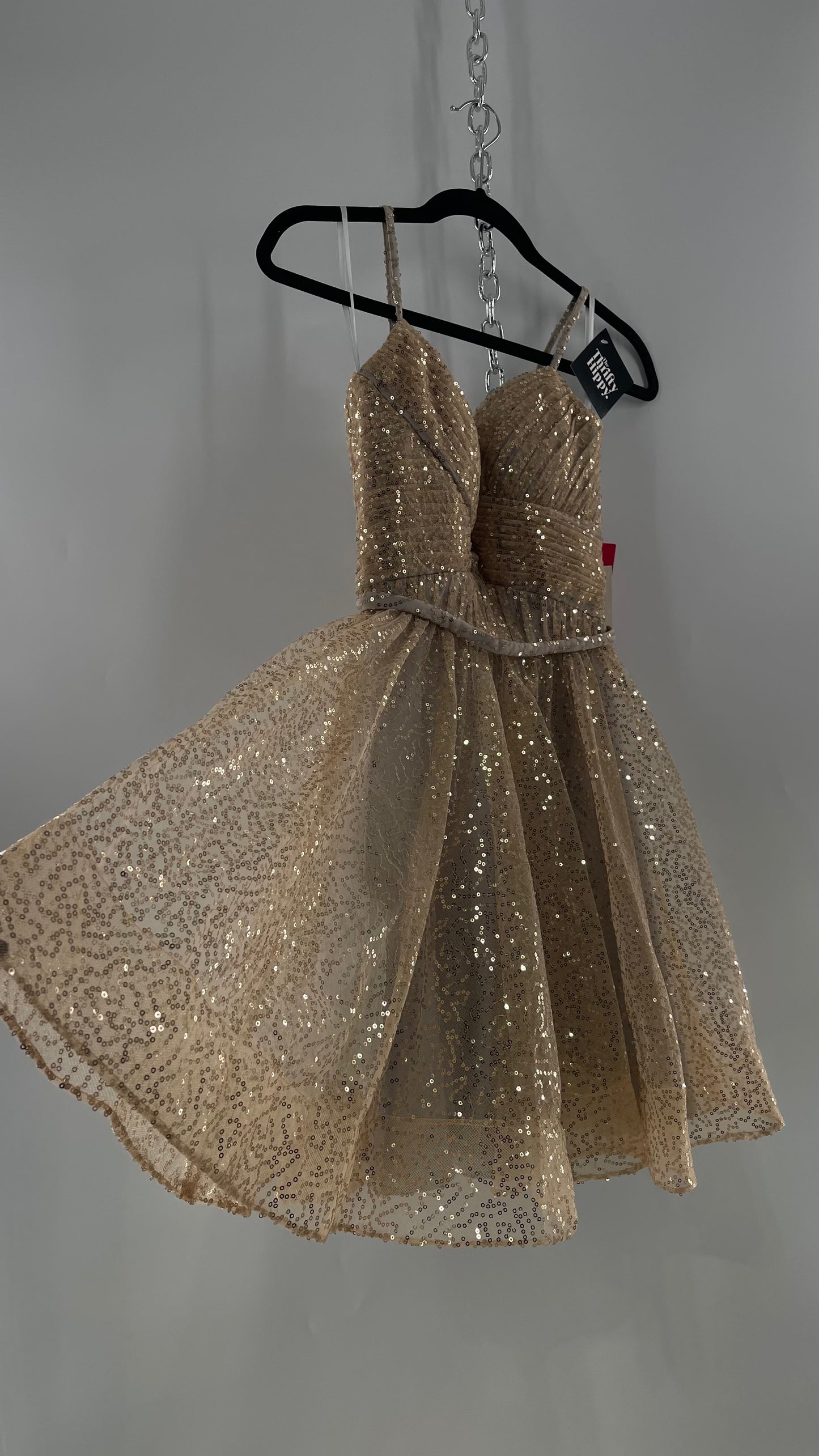 Terani Couture 1922H0420 Sleeveless Gold Sequin Tutu Dress with Ruched Corset Body (0)
