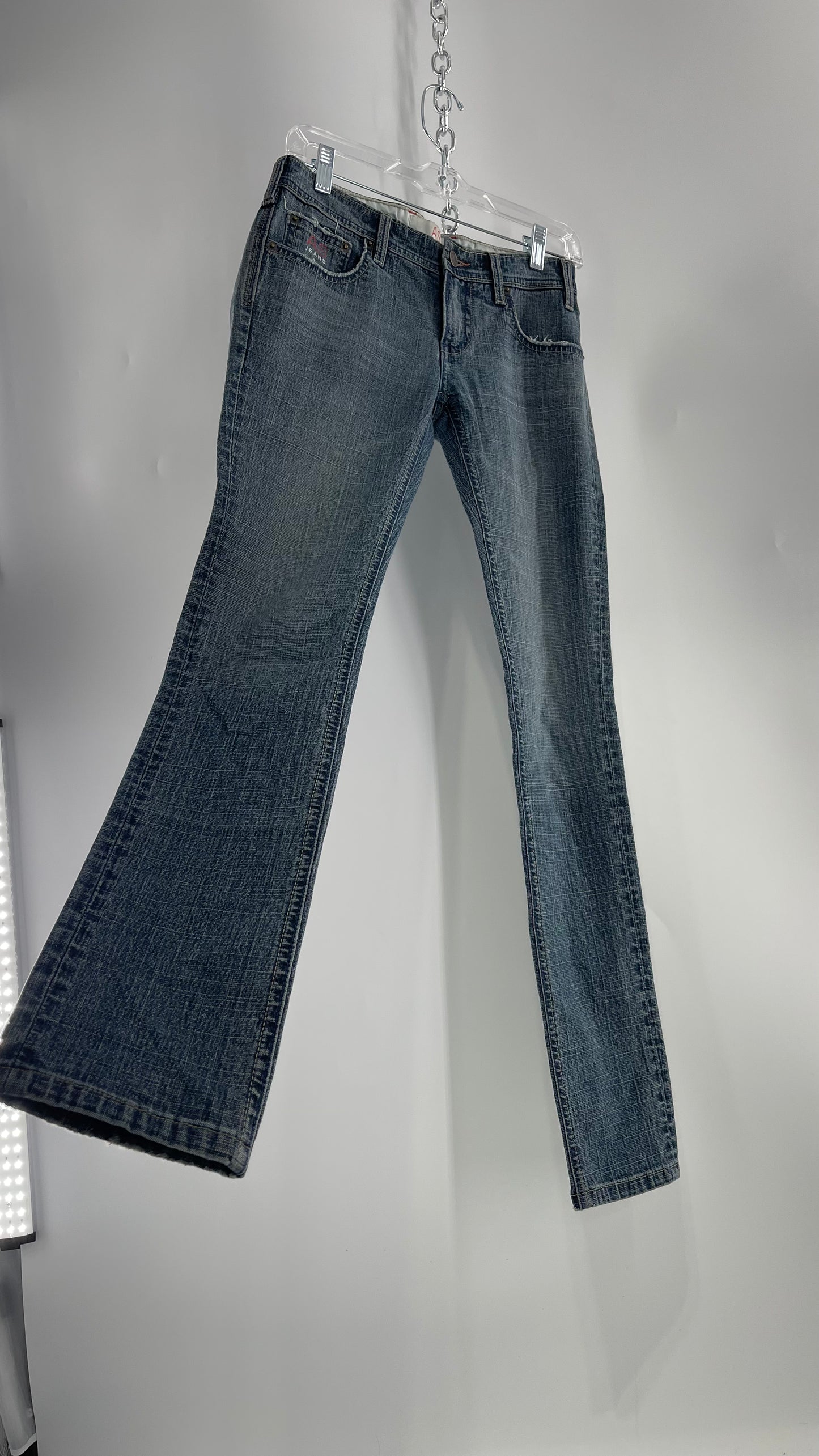 Vintage Smart AS JEANS Light Wash with Silver Metallic Female Posing Silhouette and Paulina Field Embroidery (28)