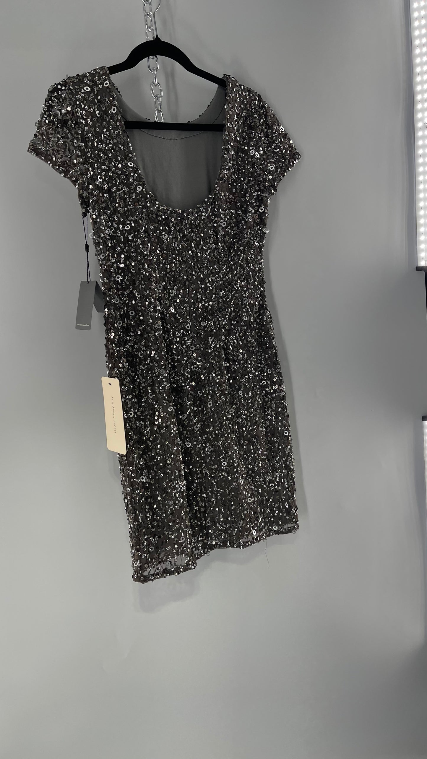 Adriana Papell Grey/Silver Short Sleeve Mini Dress Covered in Beads and Sequins (6)