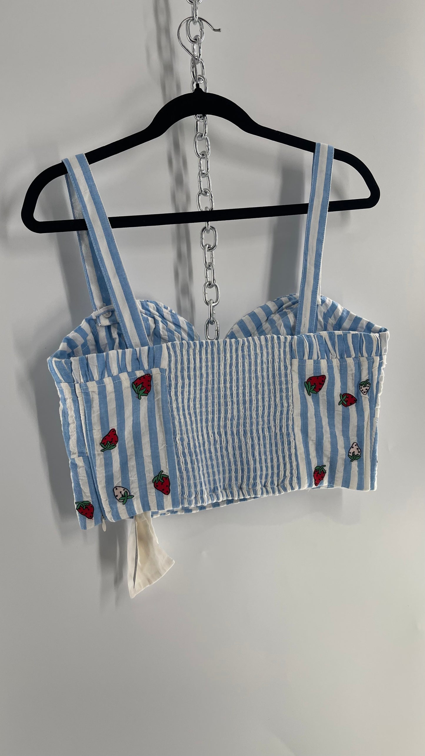 Maeve Anthropologie Baby Blue White Striped Corset Like Crop with Embroidered Strawberries (6)