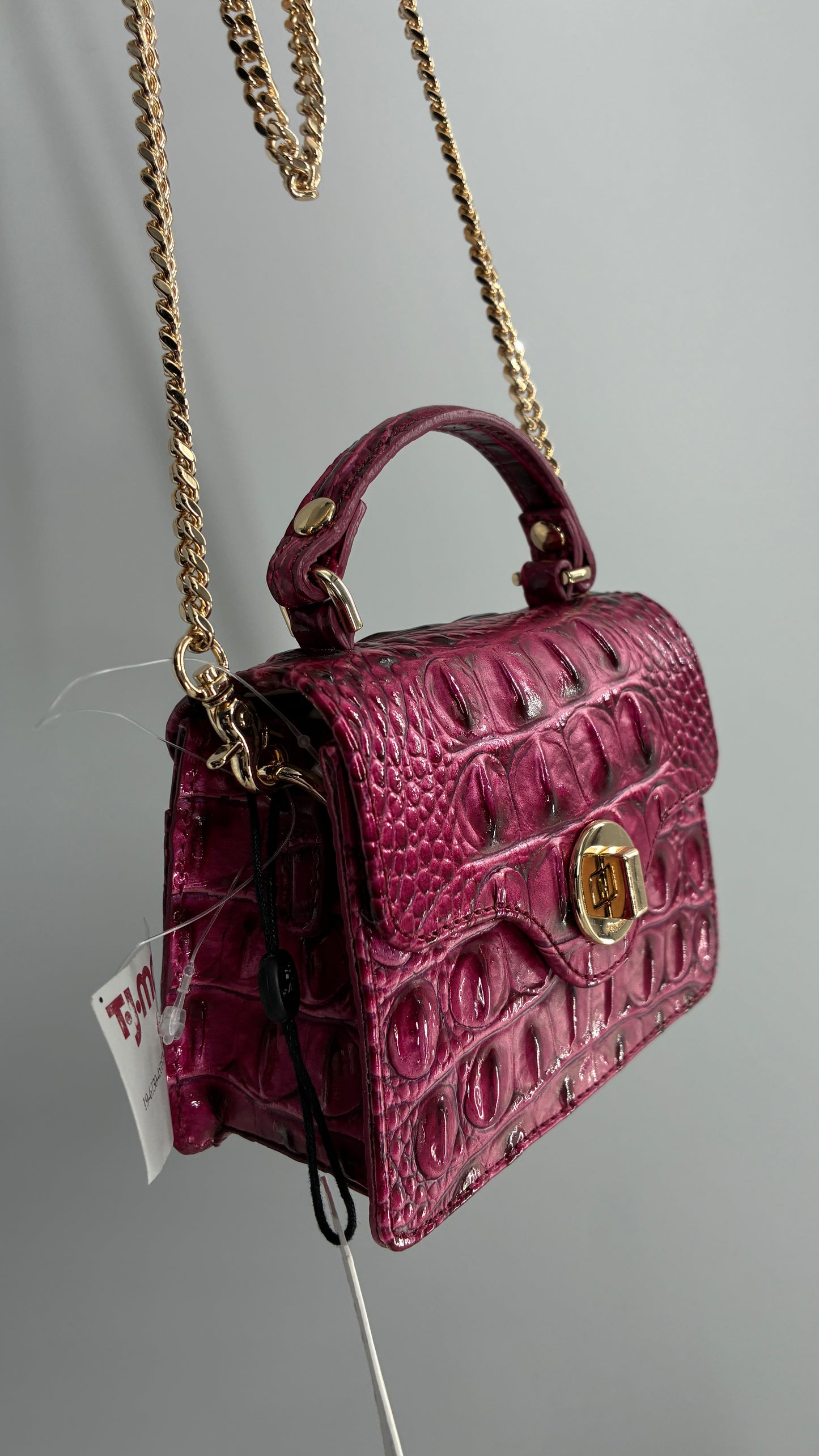 BRAHMIN Arietta Pomegranate Melbourne Mini Purse with Tags Attached, Gold Crossbody Chain and Authentication