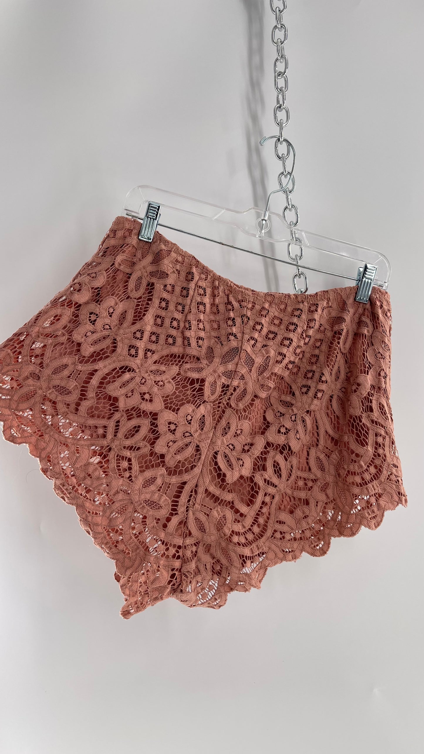Intimately Free People Dusty Pink Lace Shorts (Large)