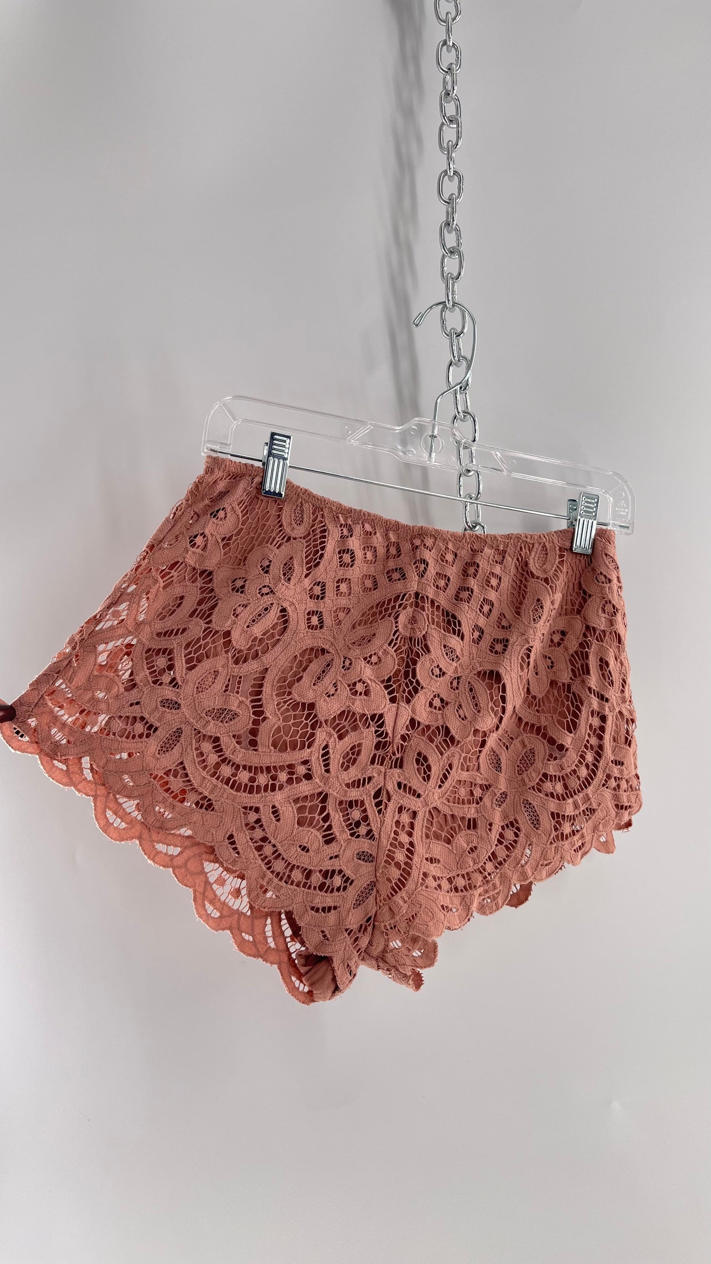 Intimately Free People Dusty Pink Lace Shorts (Small)