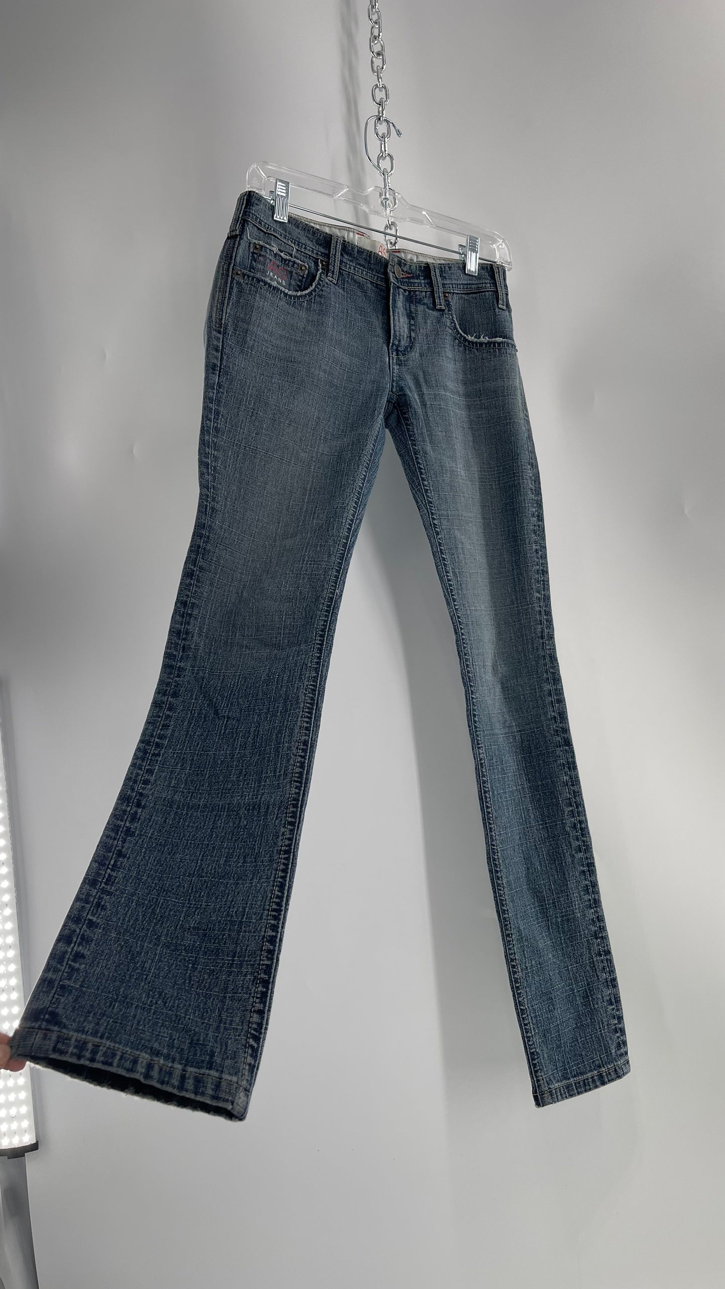 Vintage Smart AS JEANS Light Wash with Silver Metallic Female Posing Silhouette and Paulina Field Embroidery (28)