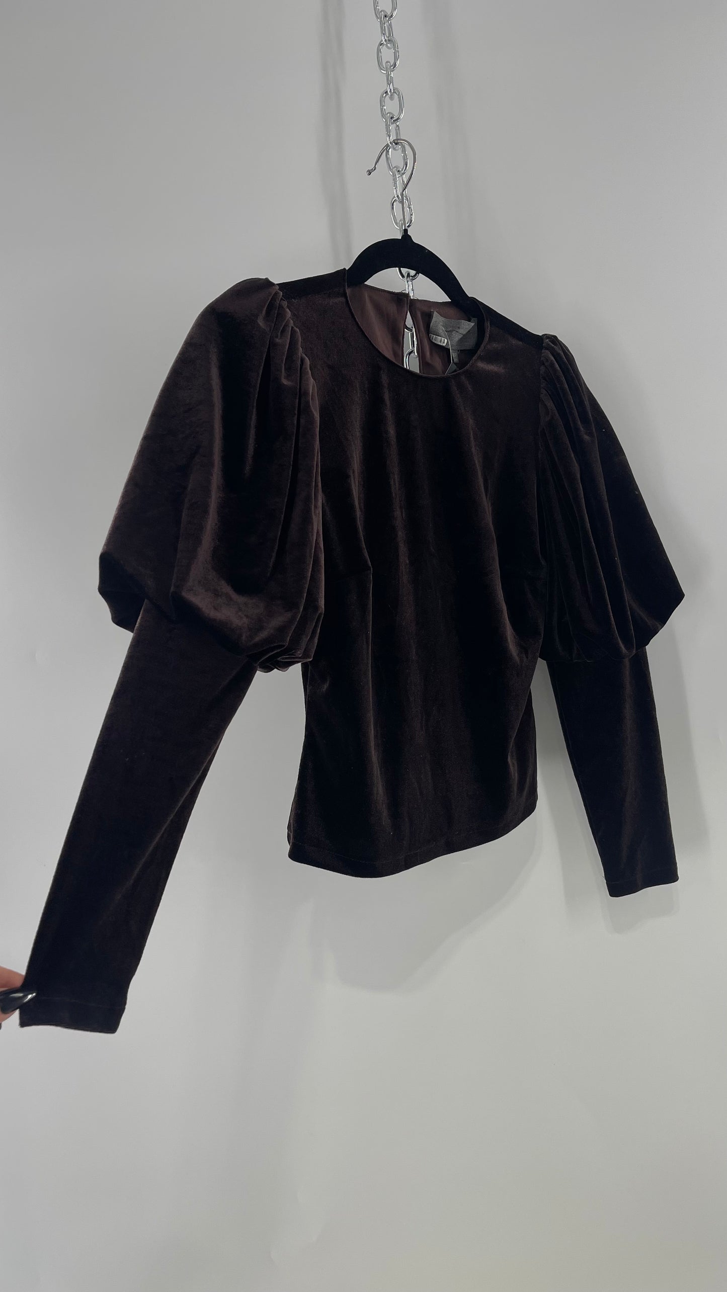 Anthropologie Sundays in Brooklyn Dark Brown Puff Shoulder, High Neck, Juliette Sleeve Blouse (XXSP)