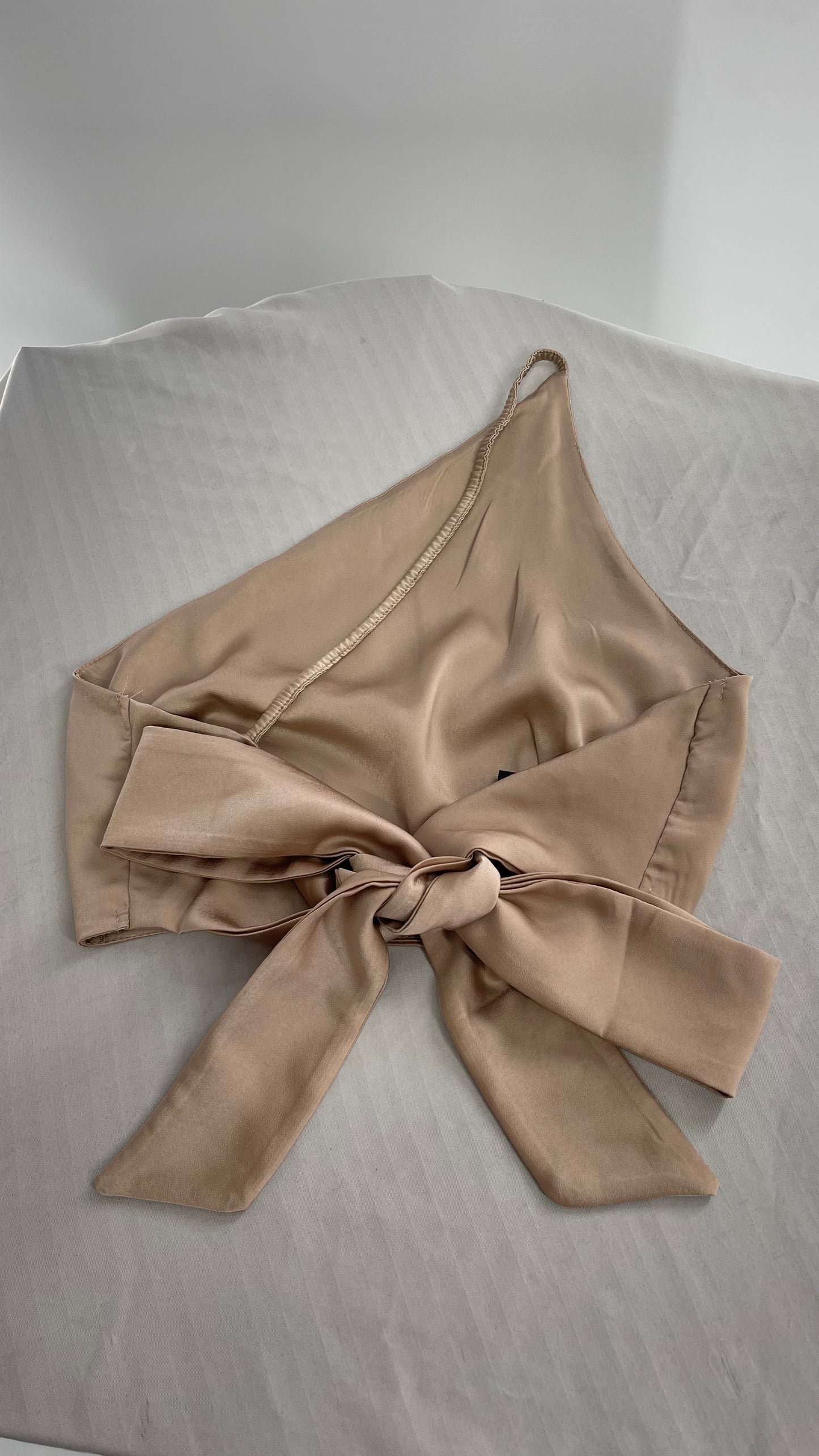 NIAY Silky Champagne Backless Bow Back Sleeveless Top (Small)