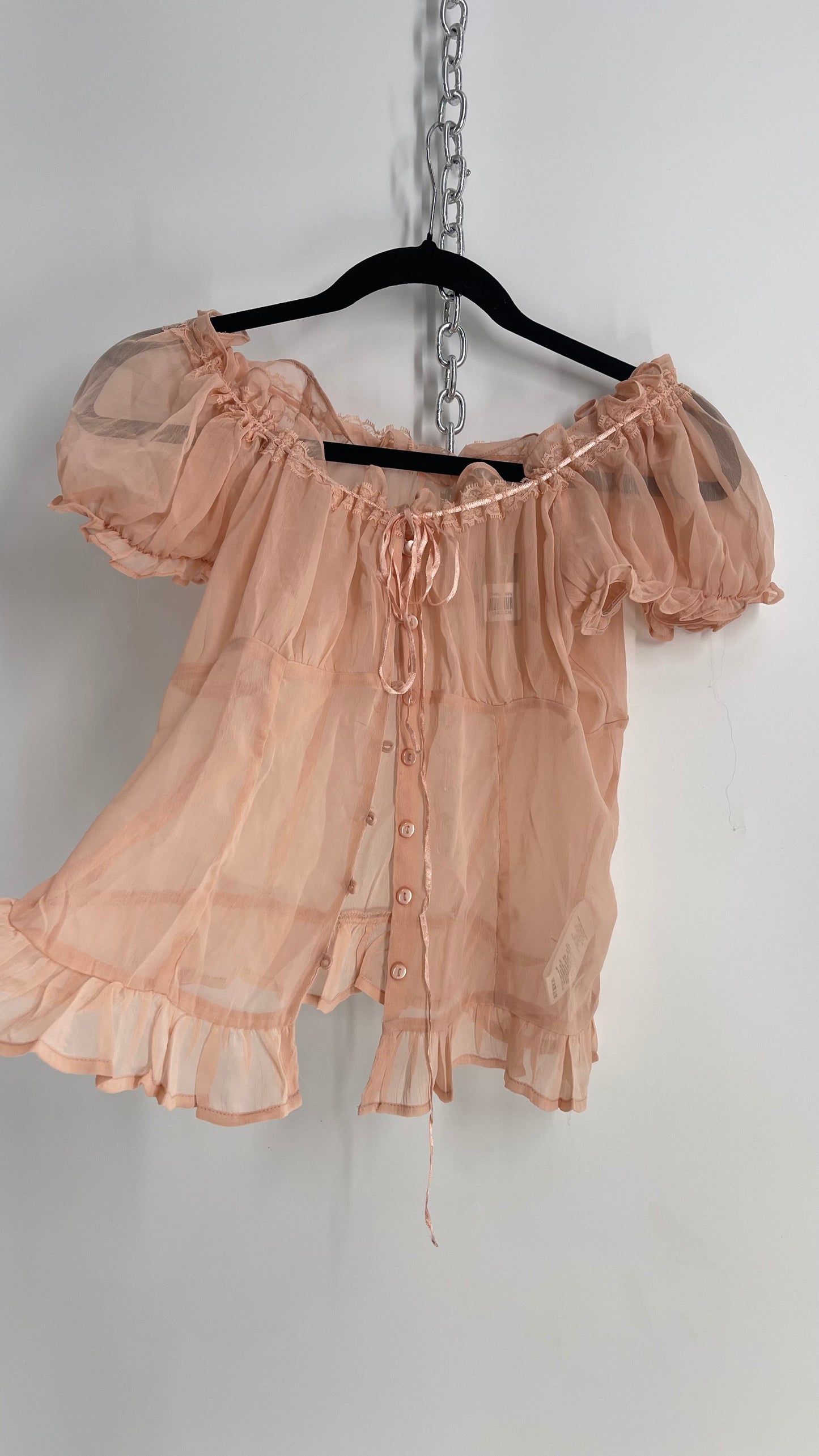 Urban Outfitters Dusty Pink Sheer Puff Sleeve Button Front Blouse (Large)