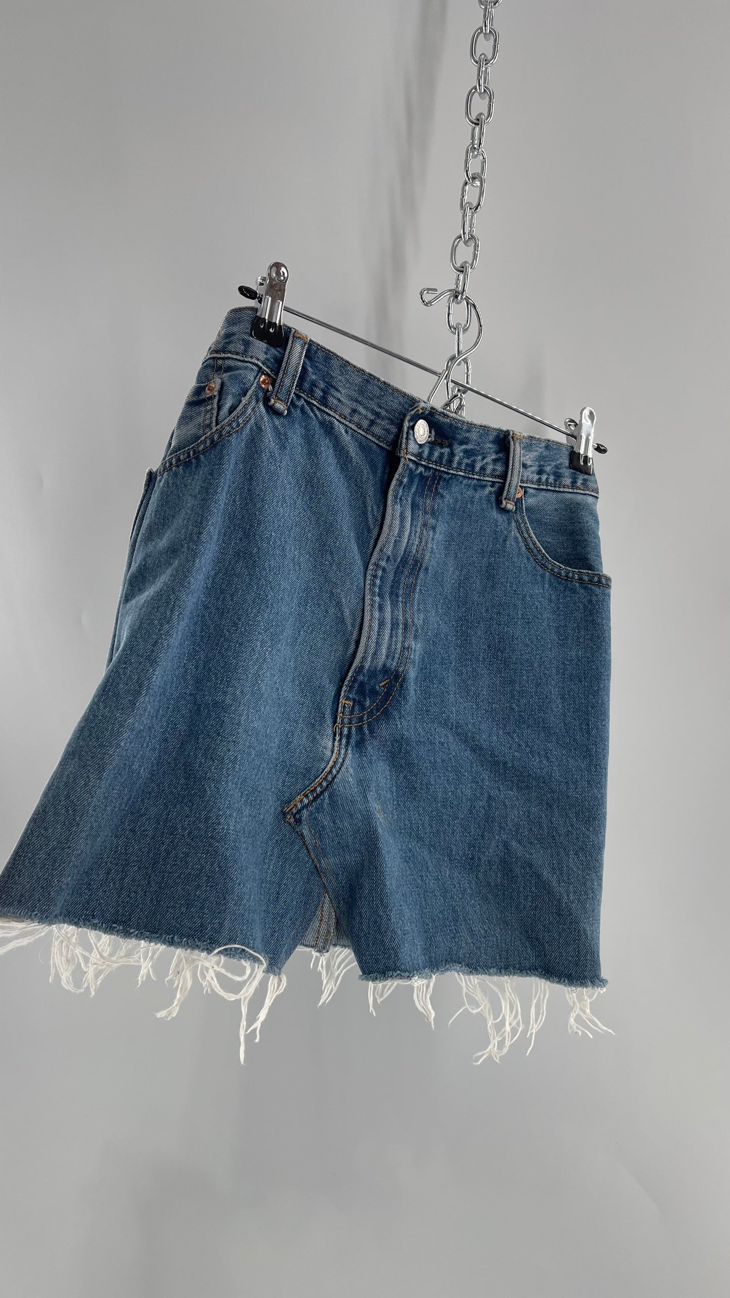 Urban Outfitters Levi Strauss Vintage Light Wash Denim Mini Skirt (Size XS)