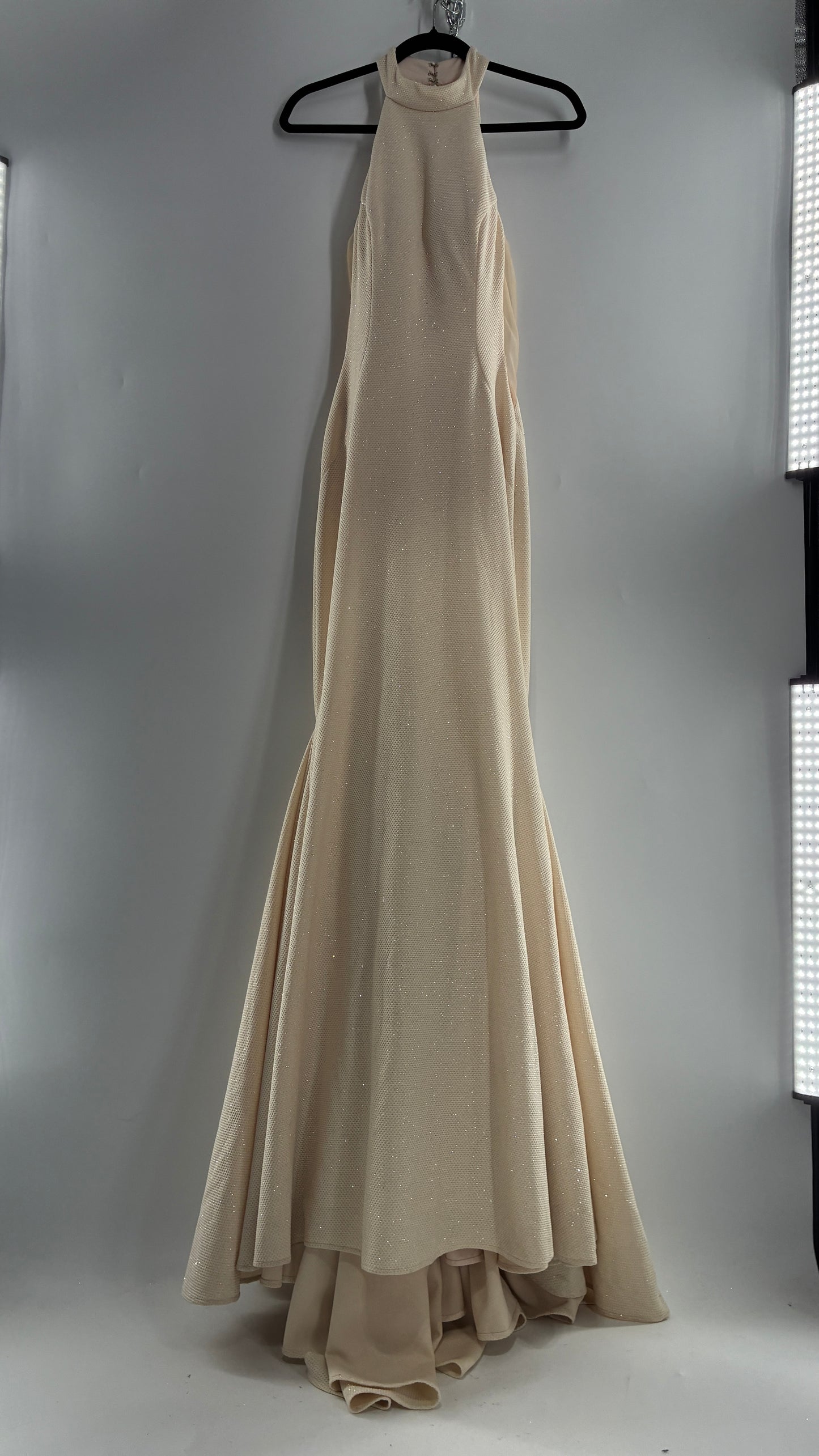 Vintage JOVANI Ivory Glittery Full Length Gown with Sheer Side Panels, Hourglass Illusion, and Pin Up Train (8)