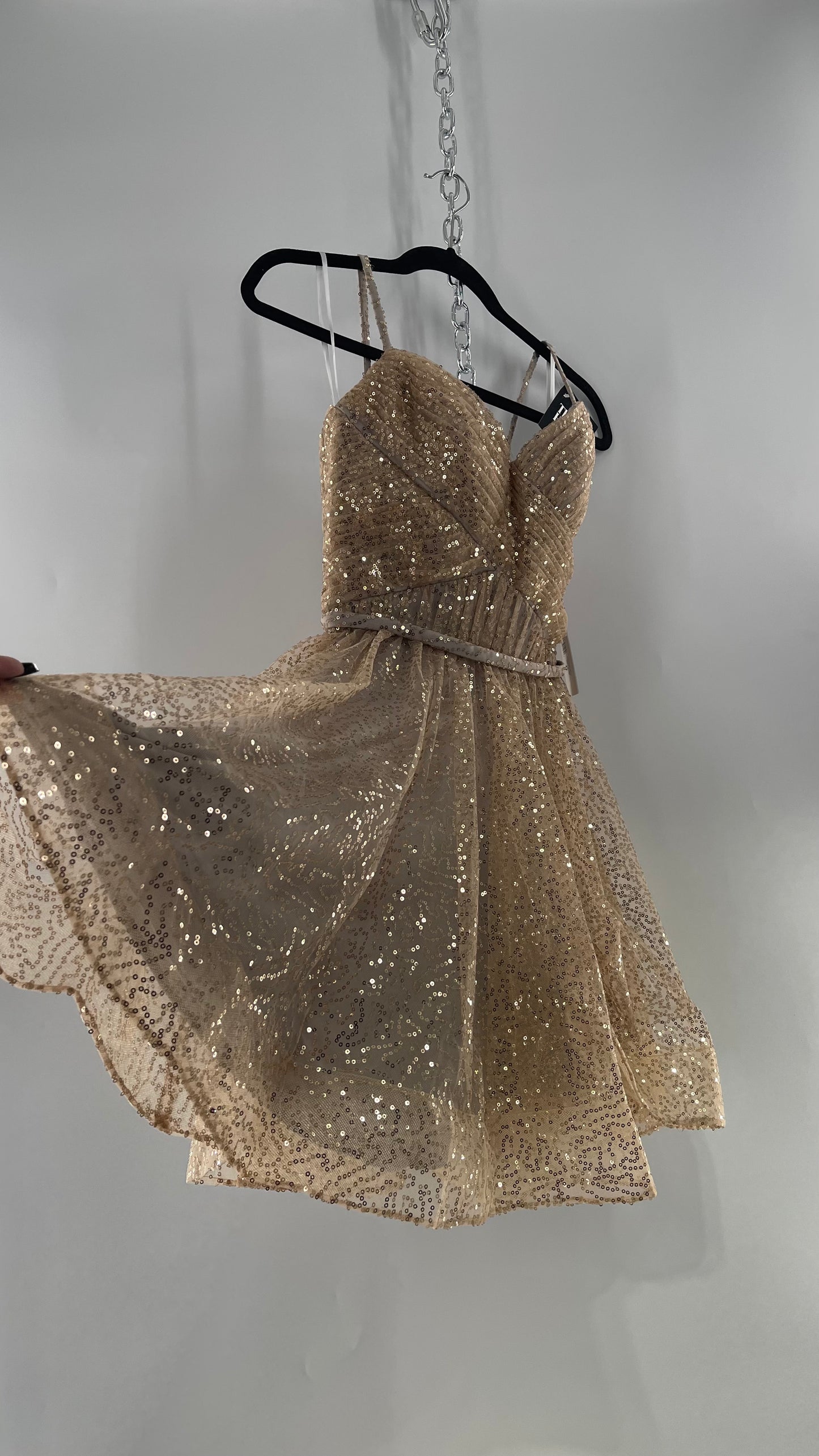 Terani Couture 1922H0420 Sleeveless Gold Sequin Tutu Dress with Ruched Corset Body (0)