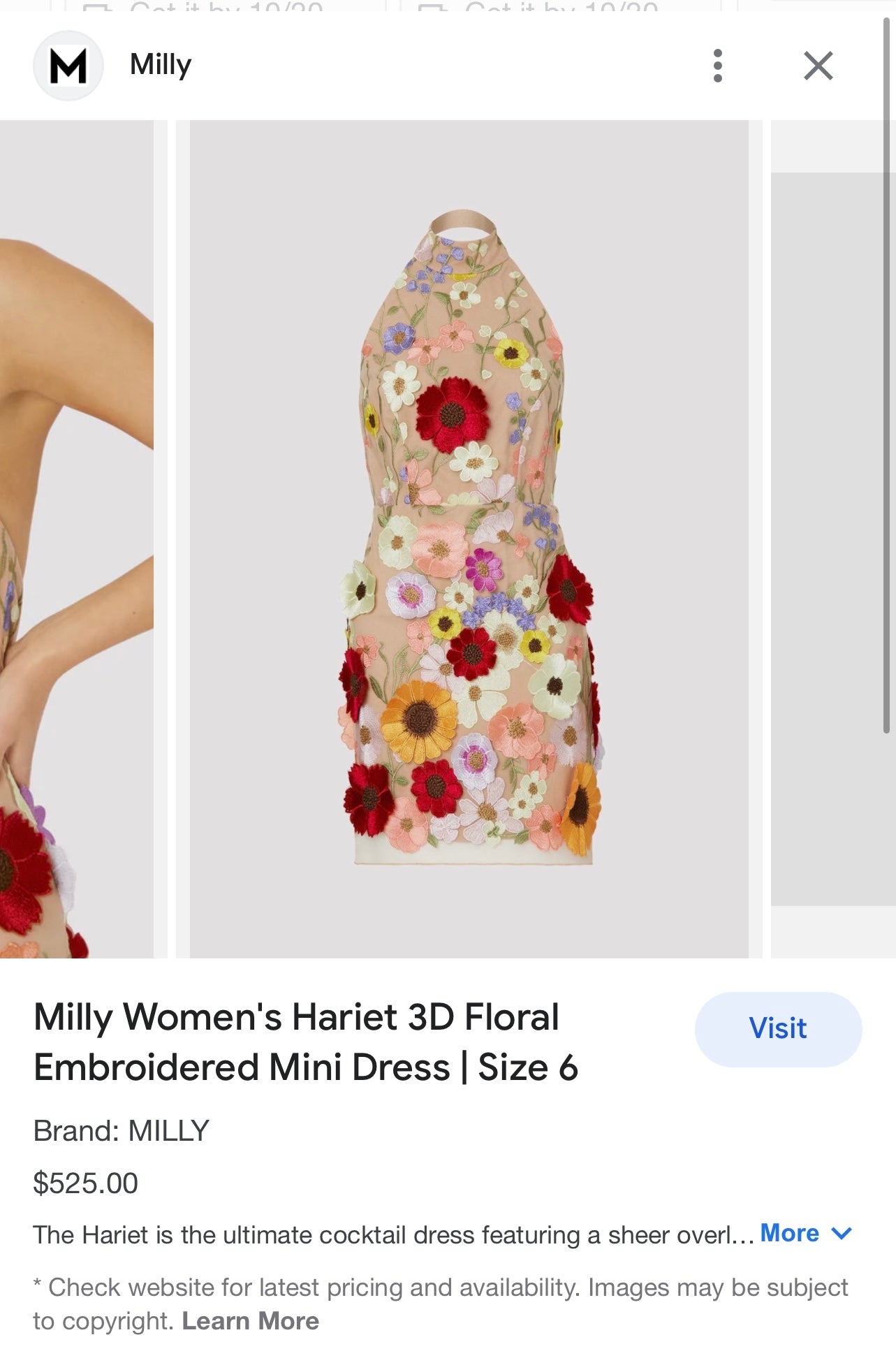 Mesh Backless Mini Dress with Halter Neckline covered in 3D Colorful Embroidered Flower Appliqués (Medium)
