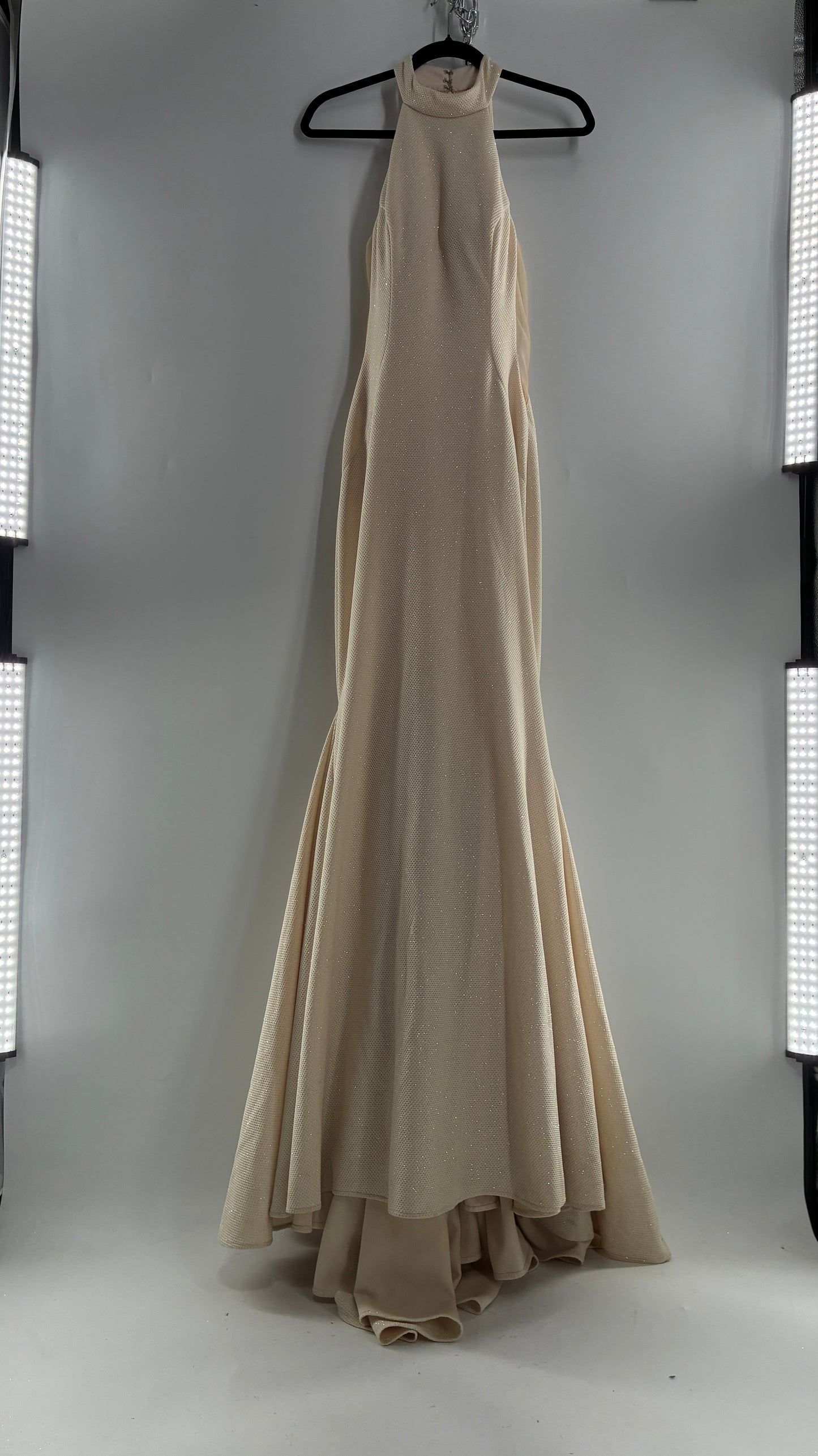 Vintage JOVANI Ivory Glittery Full Length Gown with Sheer Side Panels, Hourglass Illusion, and Pin Up Train (8)