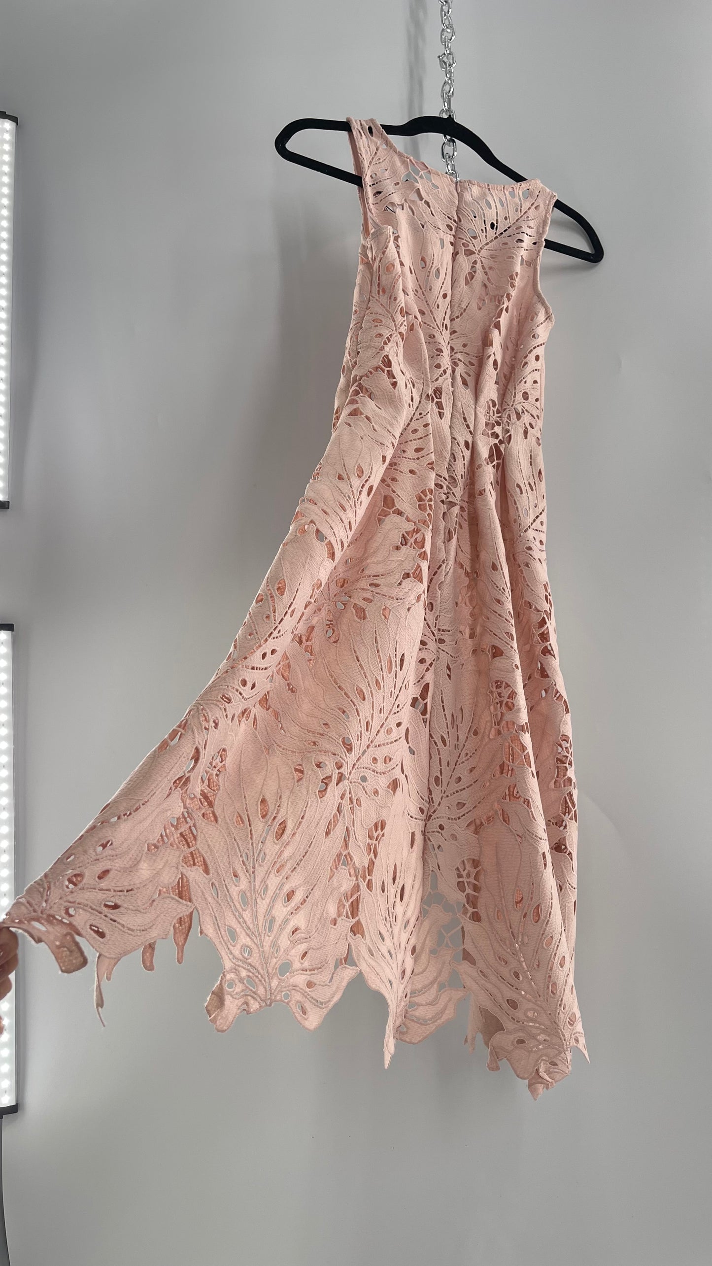 Anthropologie Eva Franco Baby Pink Completely Laser Cut Lace Palm Leaf Knee High Dress (2)