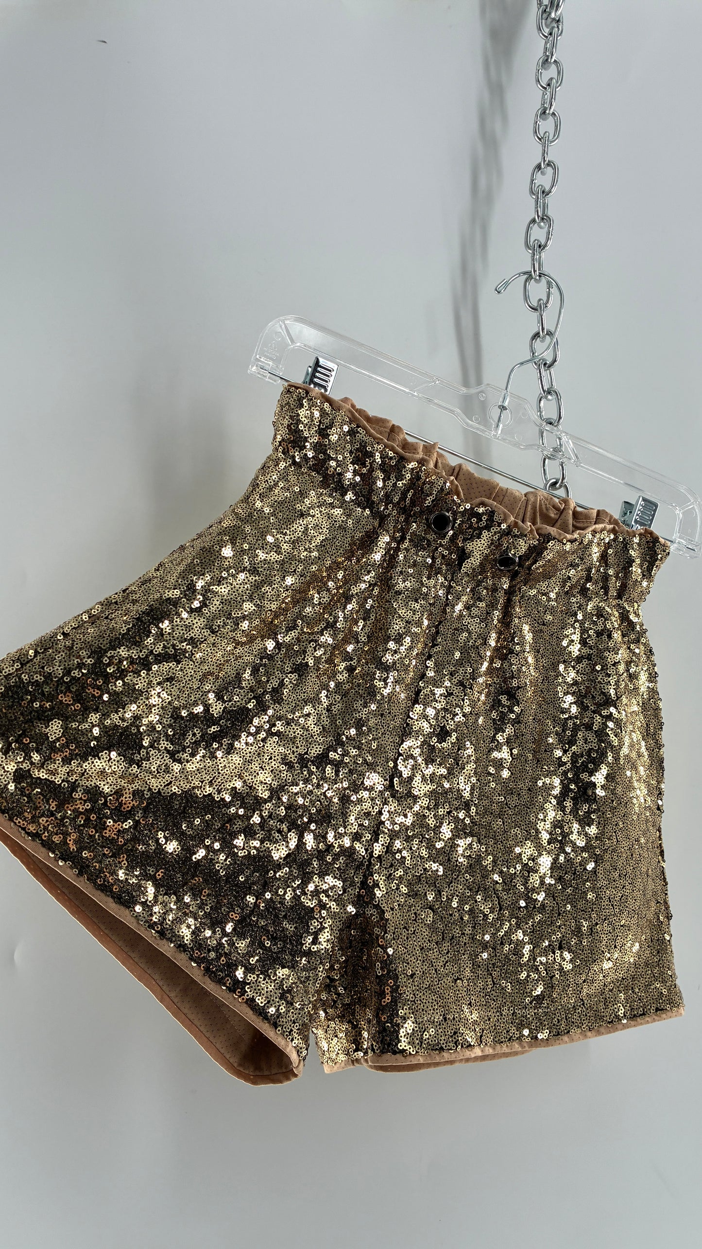Gold Sequin Shorts with Tan Mesh Lining (Small)